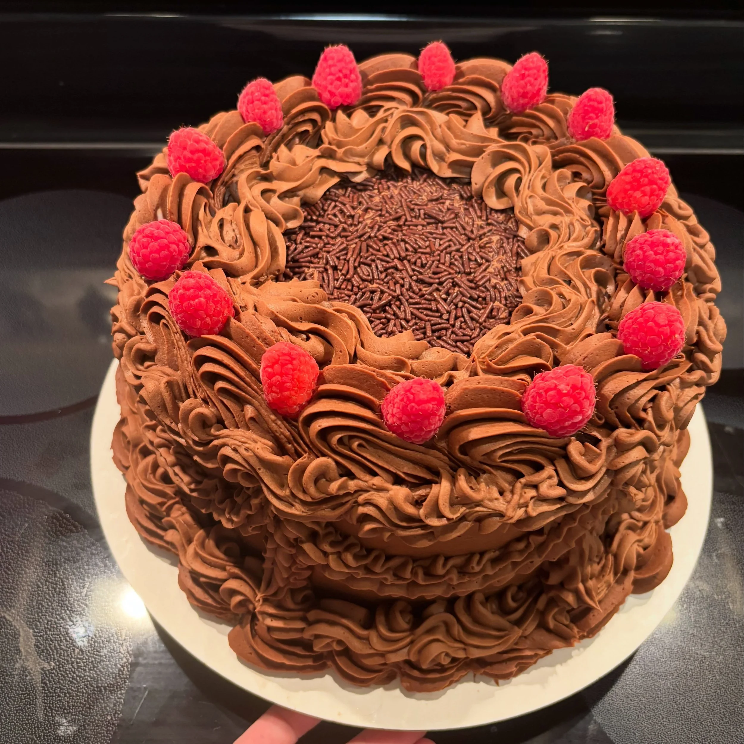 The Cupcake Gallery is hoping to eventually offer cakes! Pricing coming soon! I&rsquo;ve been getting my practice in with cakes for loved ones and friends to grow my skills! Keep an eye out for pricing and further information on ordering cakes! In th