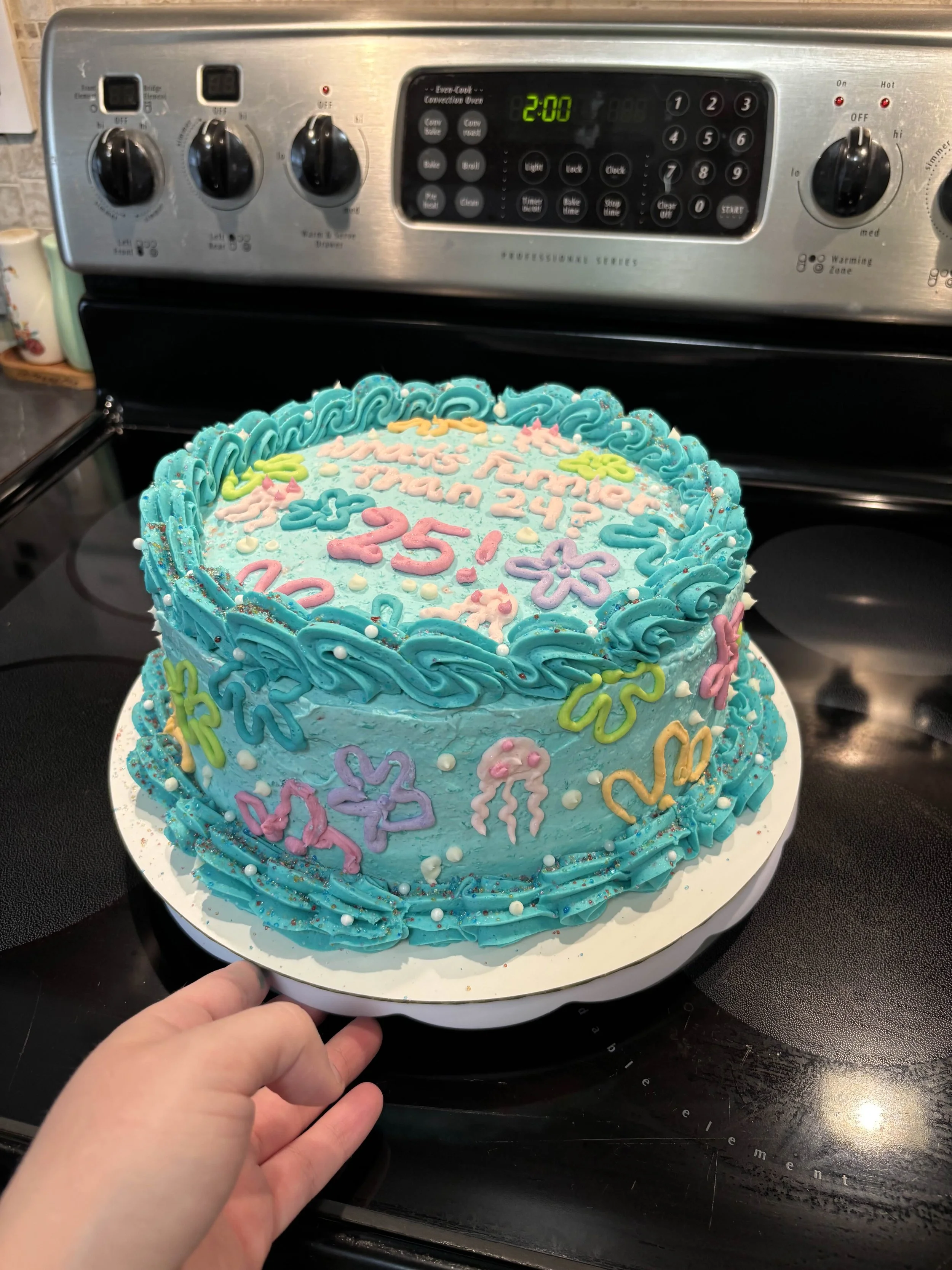 Ice cream cake
