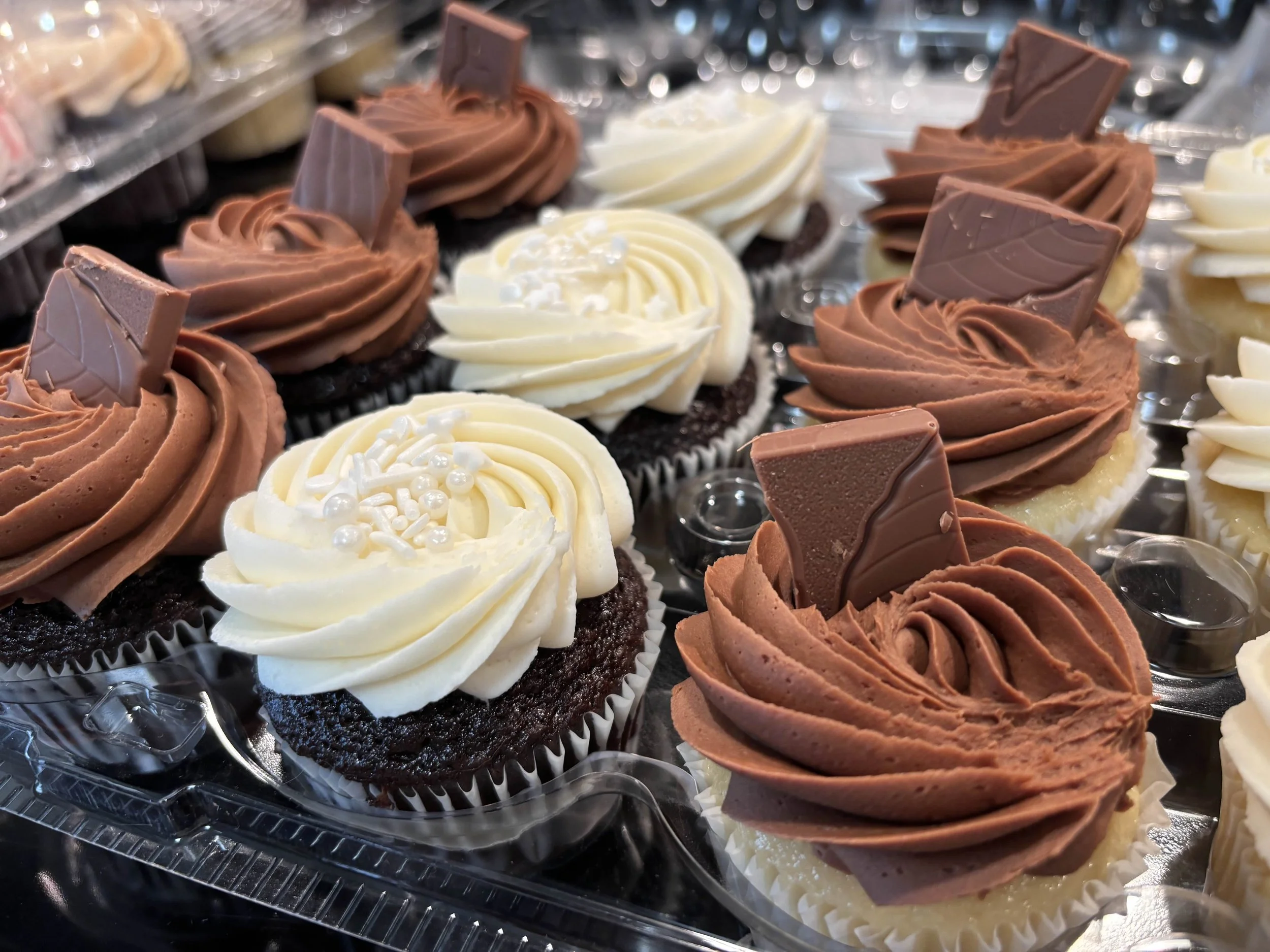 Chocolate and vanilla variety