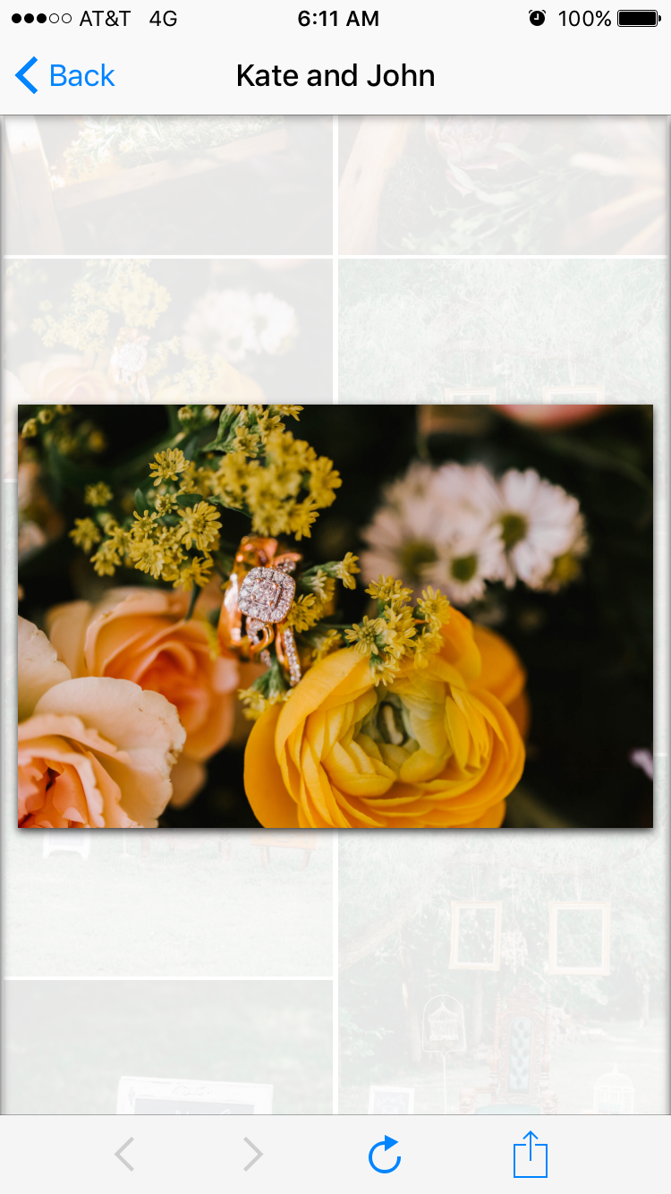 IMG_1482.PNG