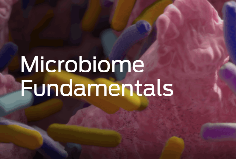 What is the microbiome? 