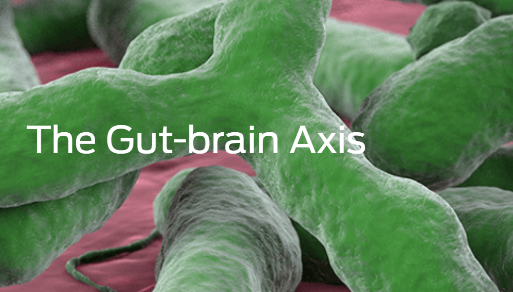 The Gut-brain Axis