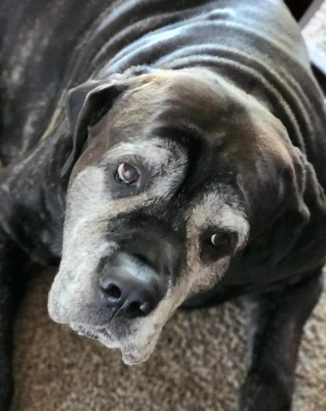 Otis_2.jpg