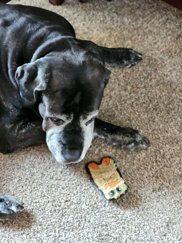 Otis_6.jpg