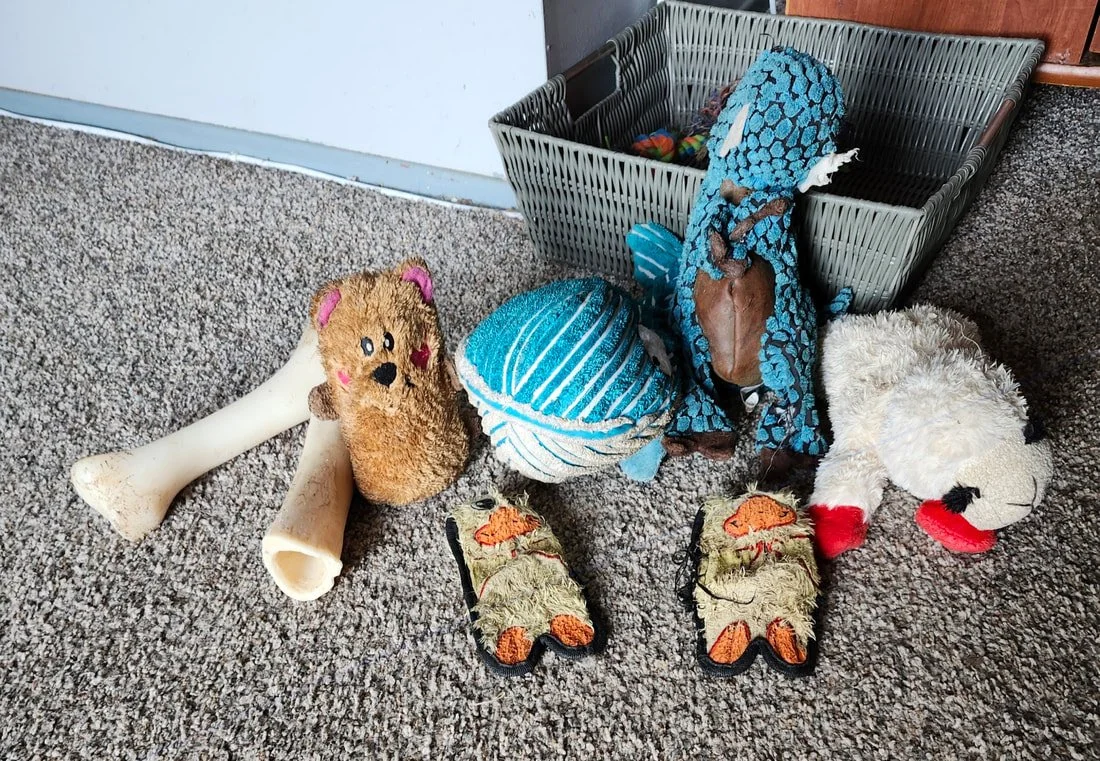 Otis_Toys.jpg