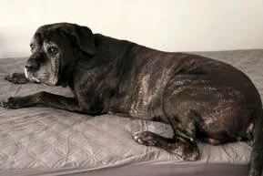 Otis_1.jpg