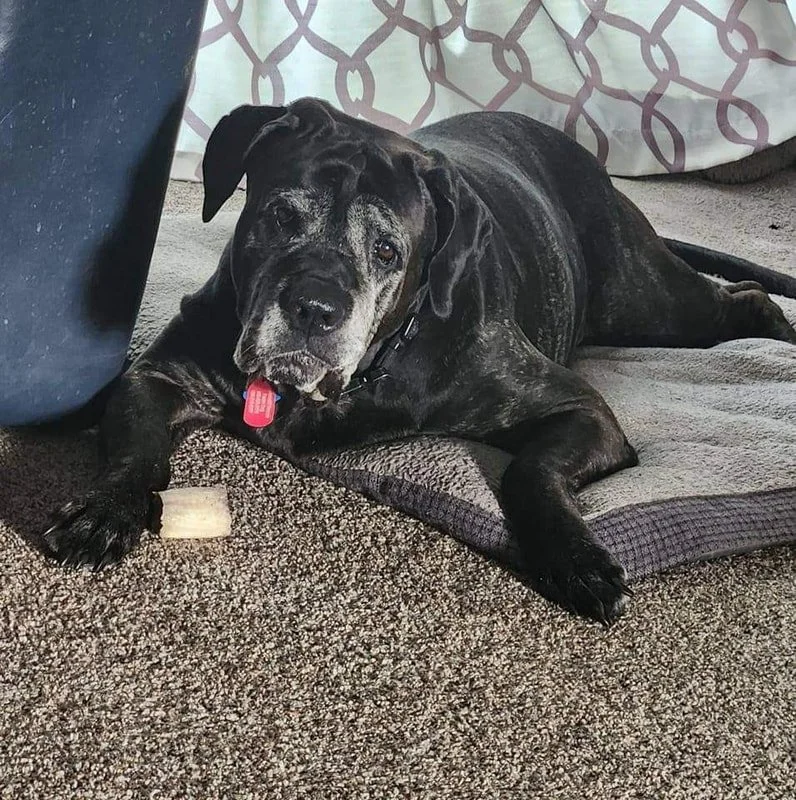 Otis_4.jpg