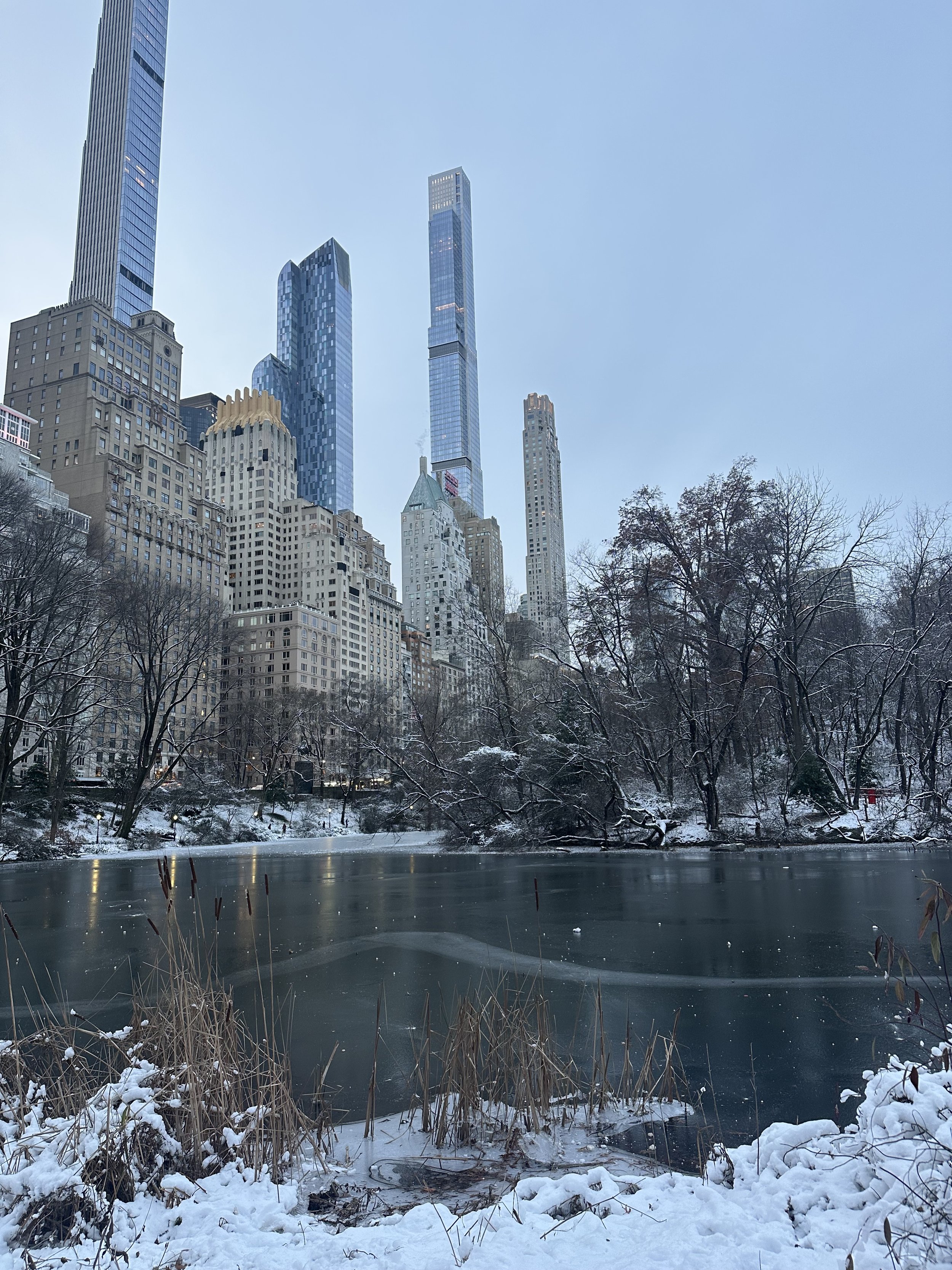 A winter scene in Central Park with snow-covered trees, a frozen pond, and tall skyscrapers in the background under a clear blue sky.