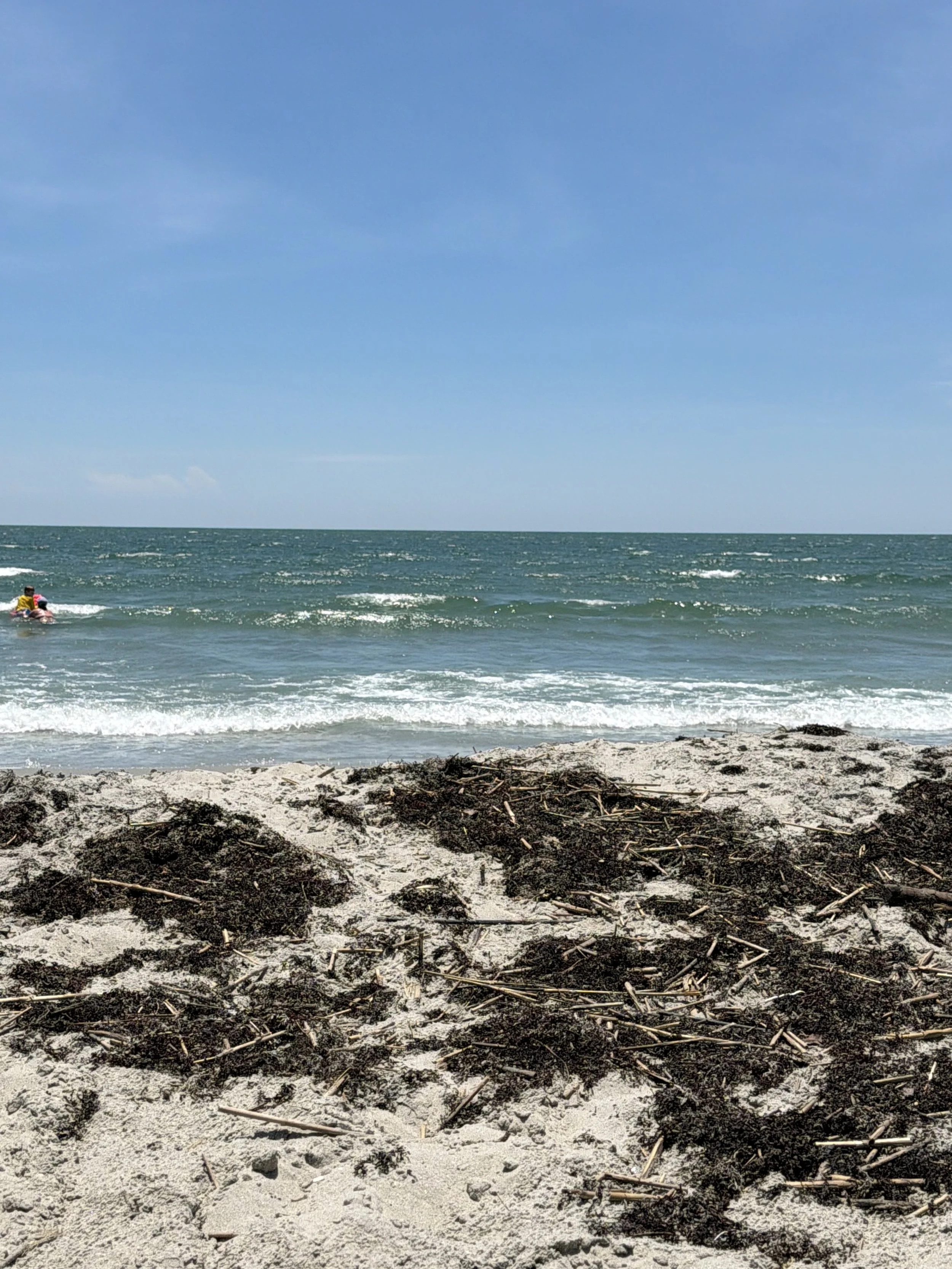 Beach scene with sandy shore, some dark seaweed and debris in the foreground, ocean waves in the middle, and a clear blue sky above.