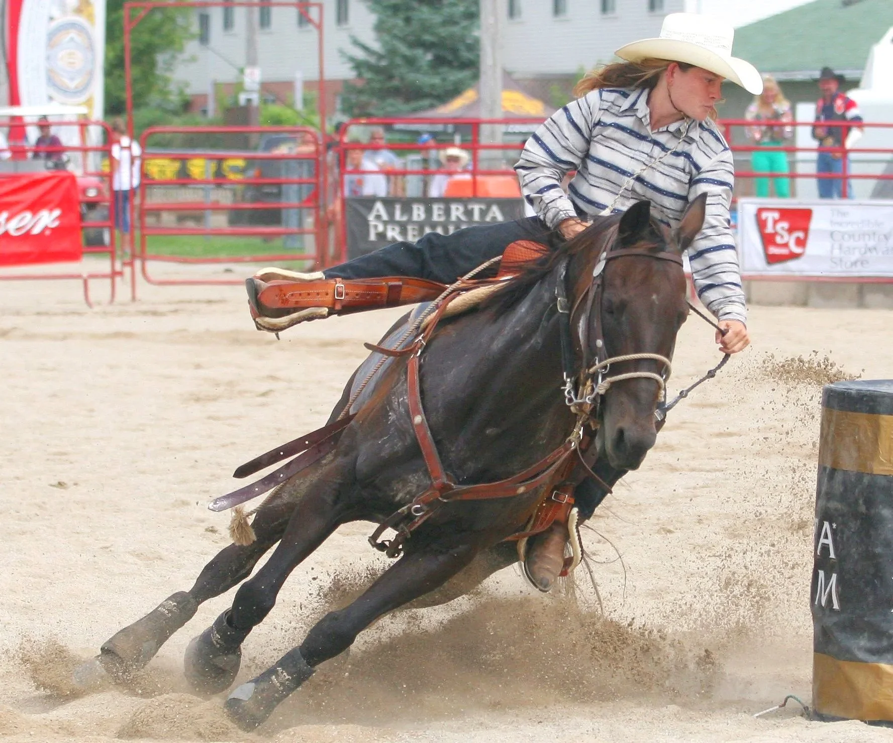 rodeo.jpg