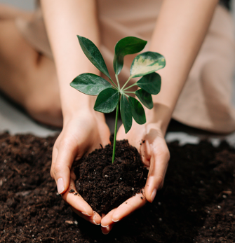 The Stewardship of Human Potential