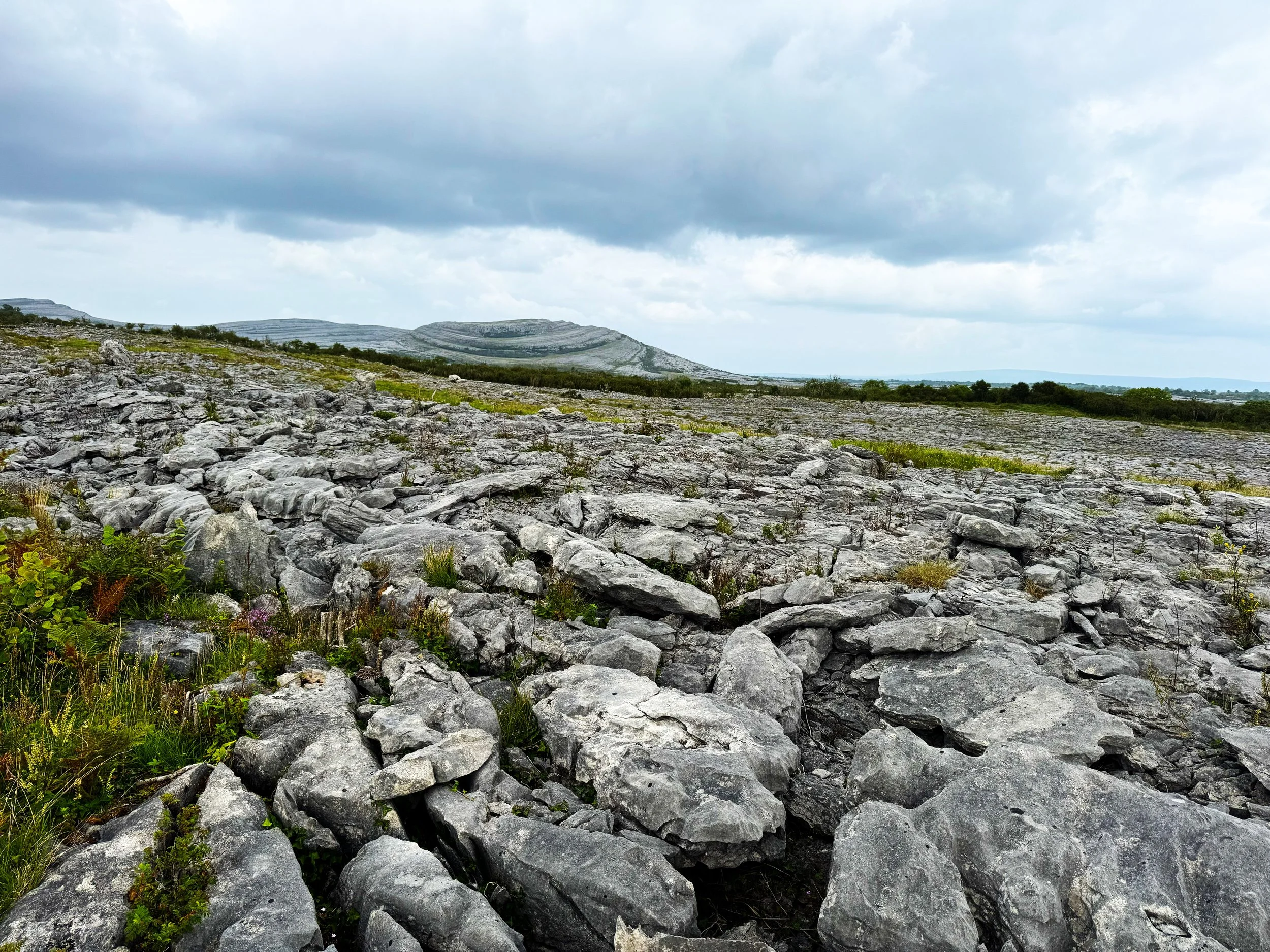 A rocky landscape with sparse green vegetation and hills in the distance under a cloudy sky.