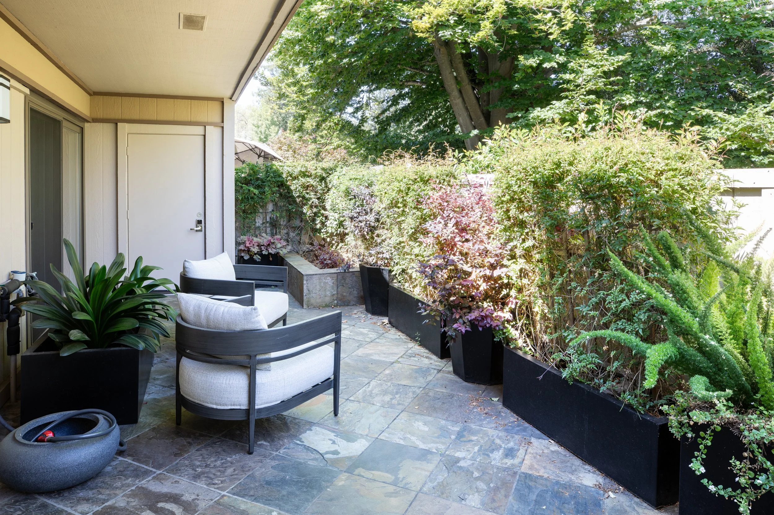 31-BayTree_Matt_Anello-9536-MLS.jpg