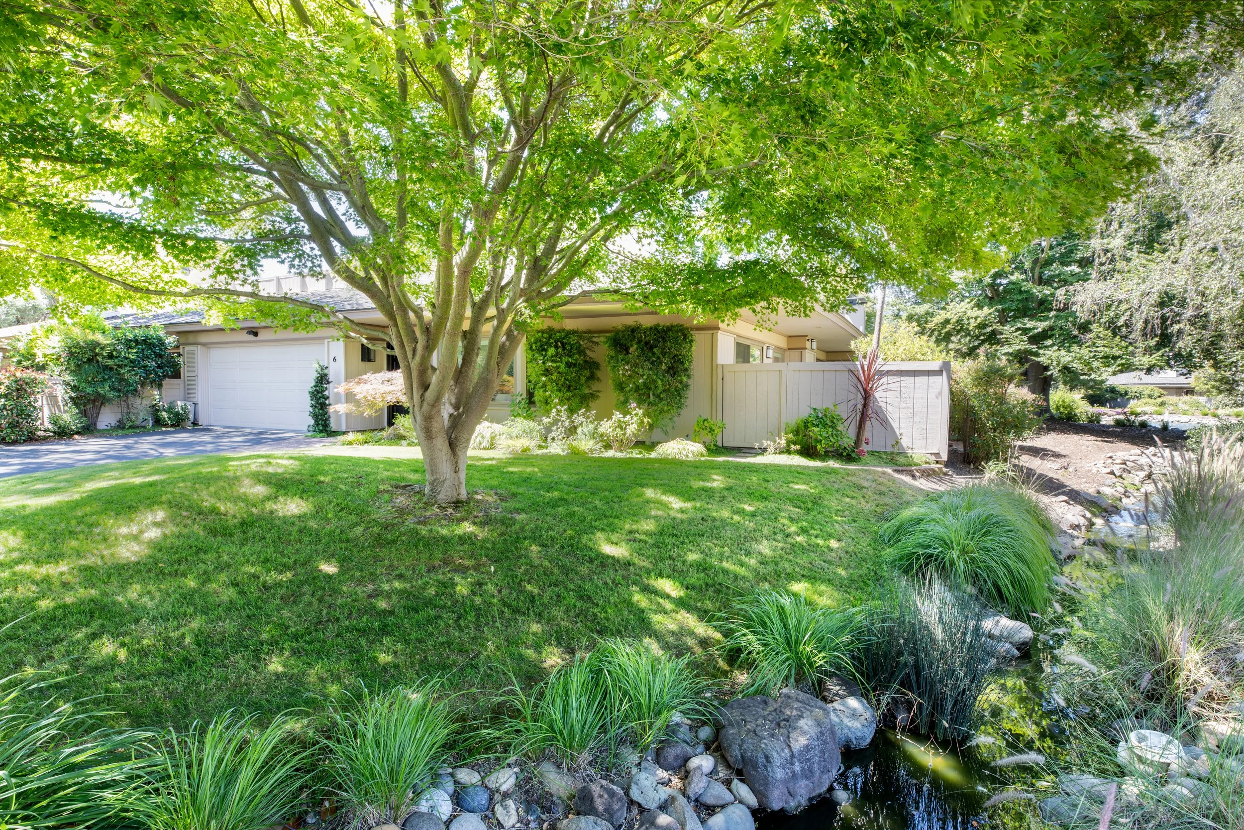 3-BayTree_Matt_Anello-9544-MLS.jpg