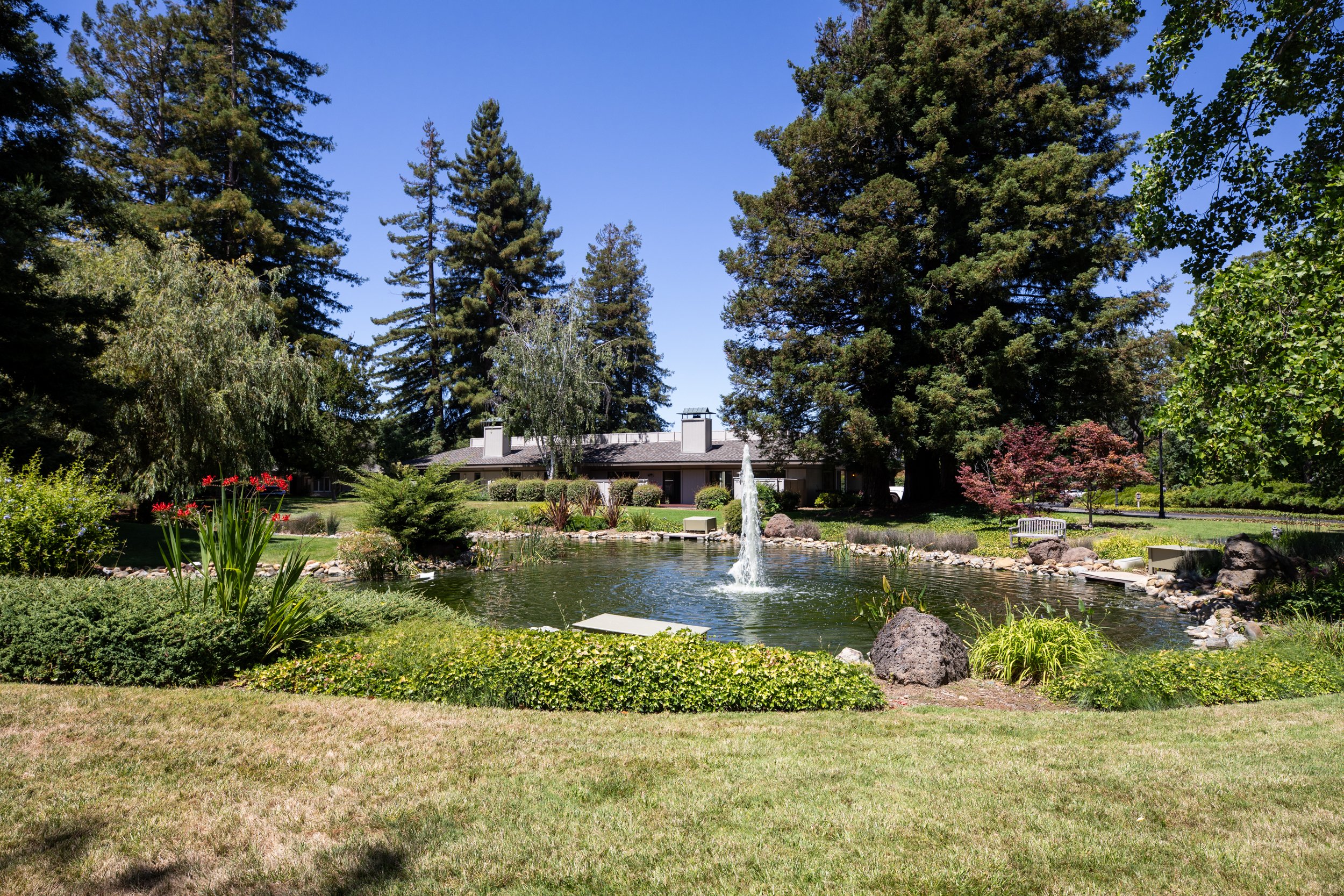 42-4-BayTree_Matt_Anello-9364-MLS.jpg