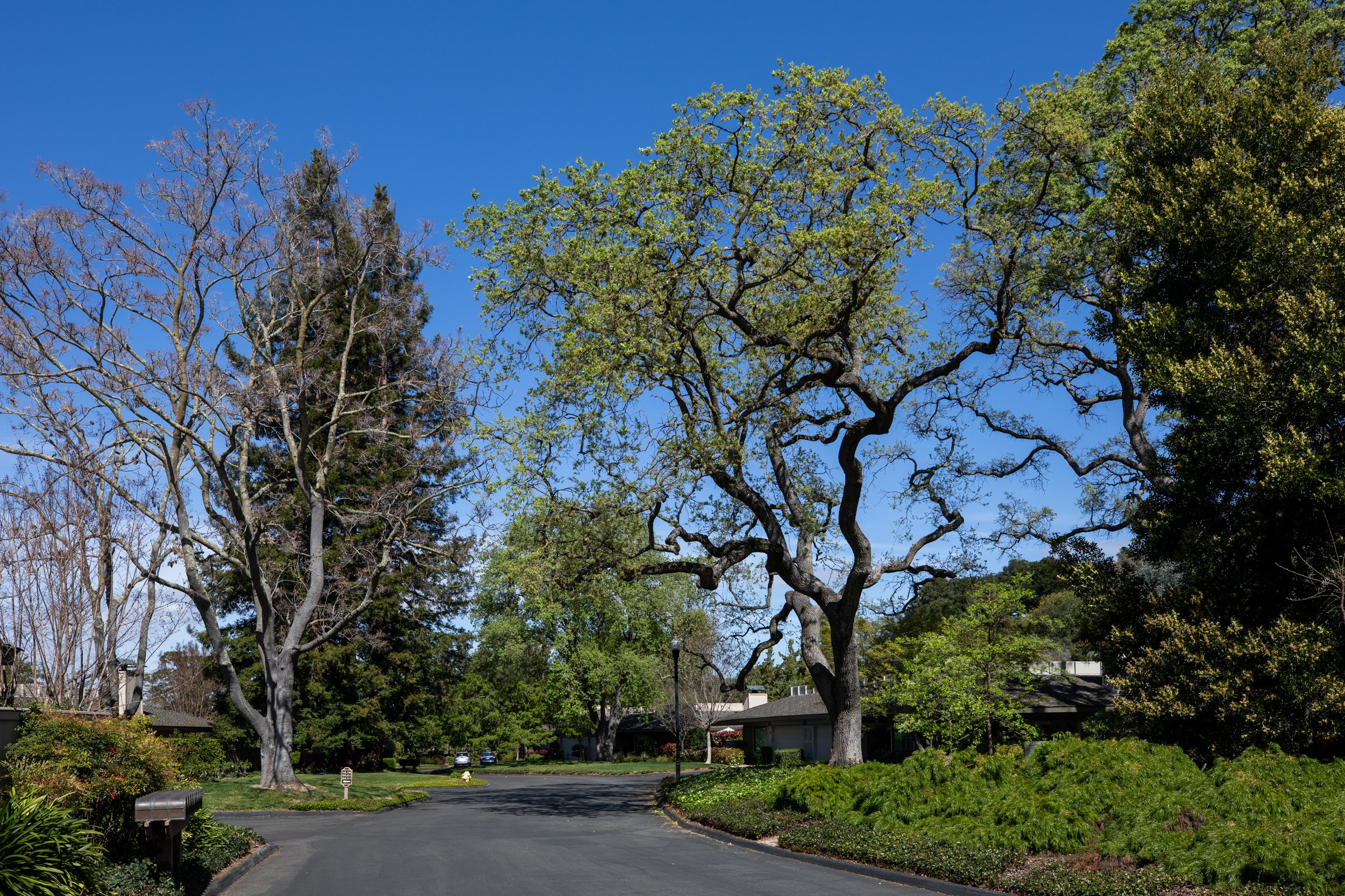 47-CreeksideOaks_Matt_Anello-0459-MLS.jpg