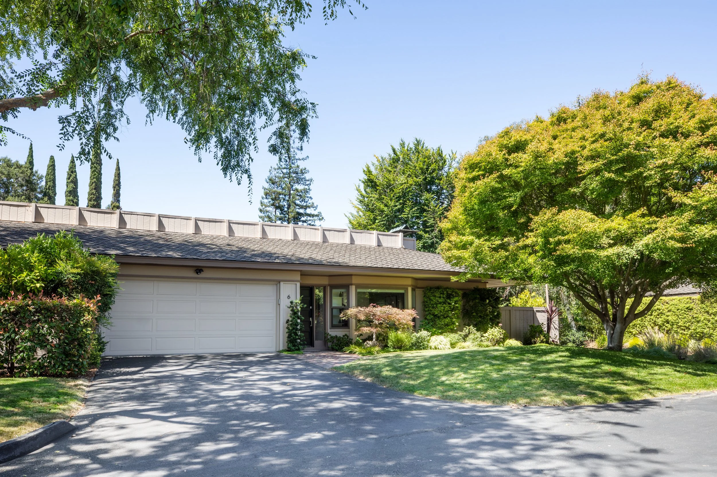 4-BayTree_Matt_Anello-9546-MLS.jpg