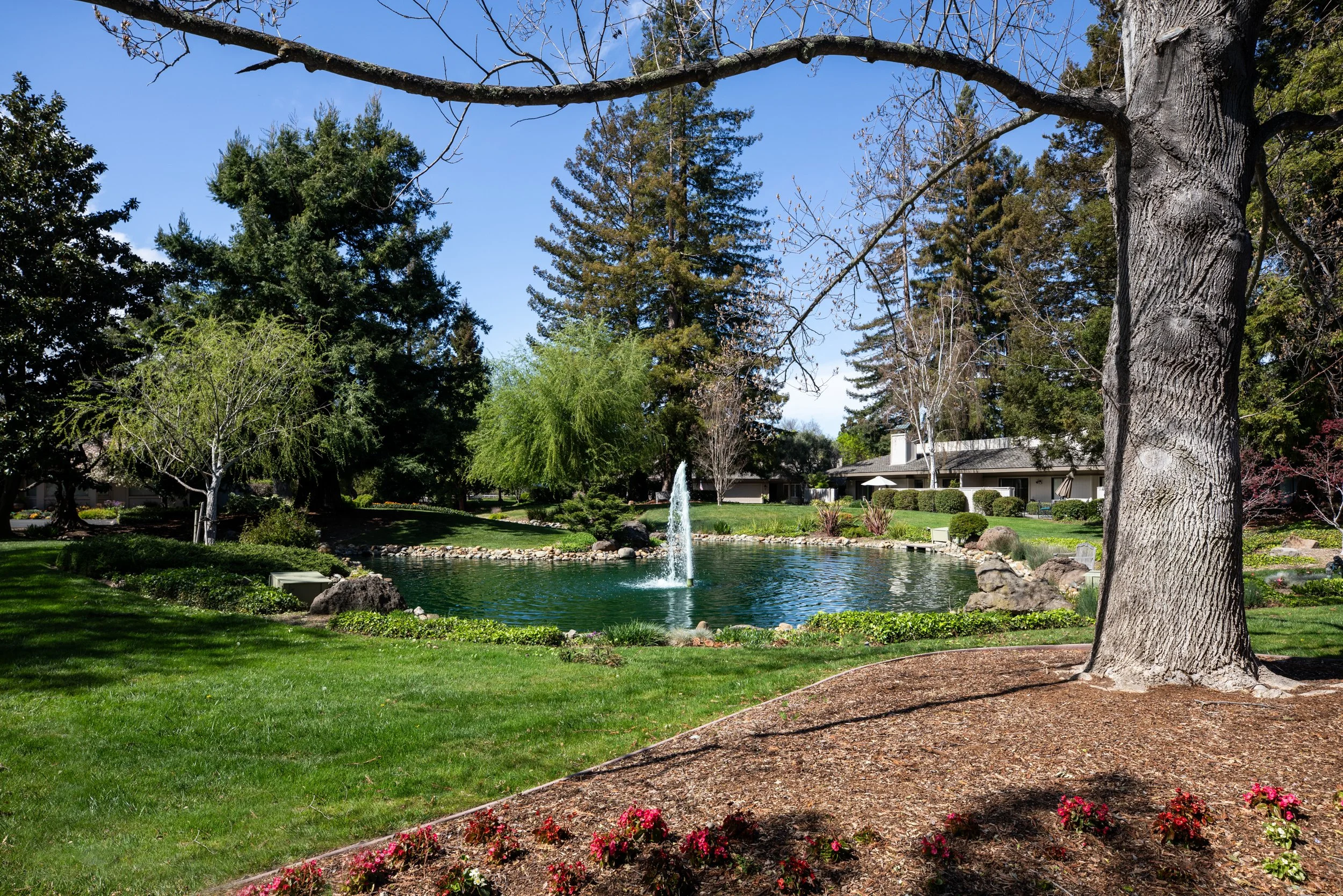 48-CreeksideOaks_Matt_Anello-0460-MLS.jpg
