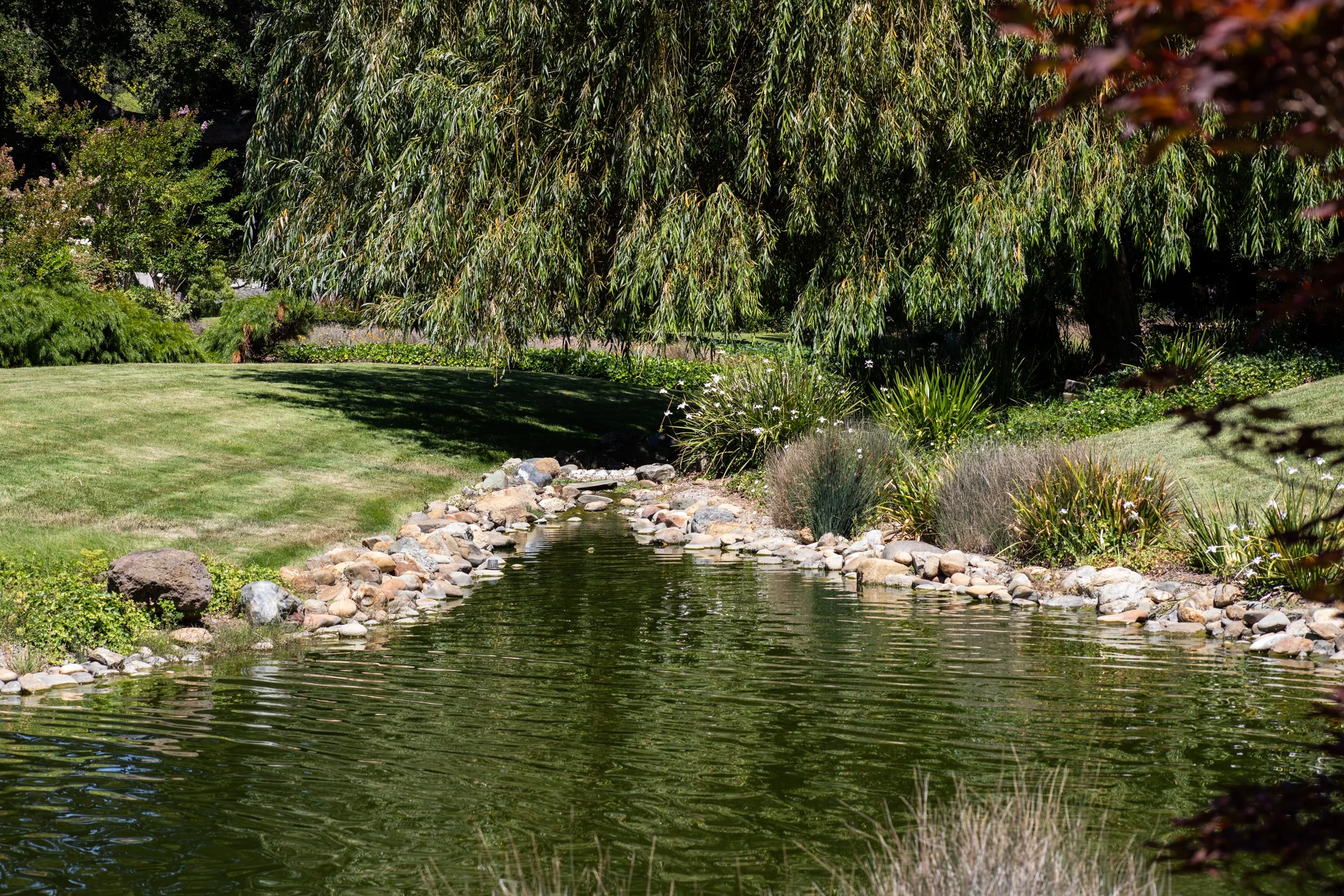 40-BayTree_Matt_Anello-9552-MLS.jpg