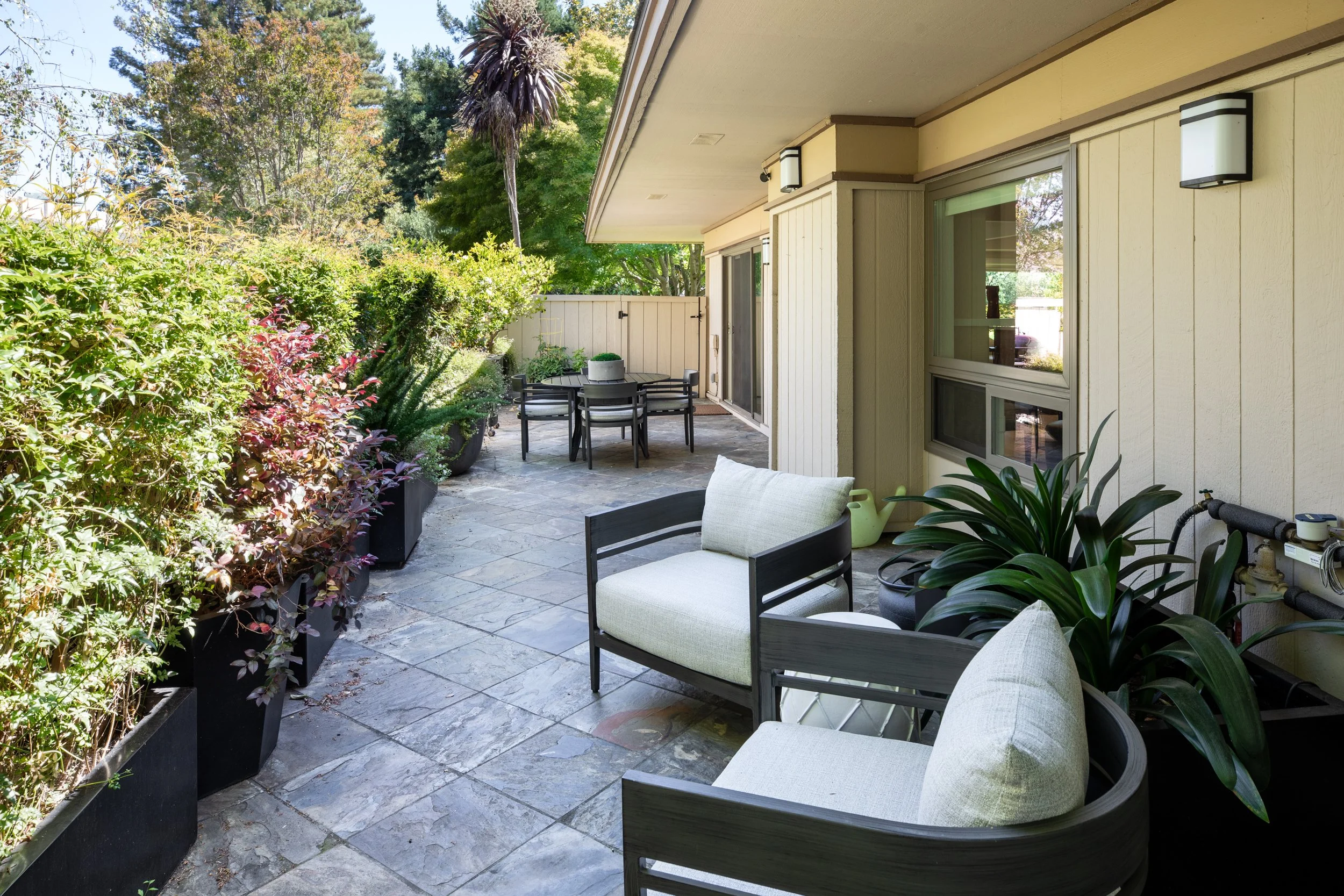 32-BayTree_Matt_Anello-9538-MLS.jpg