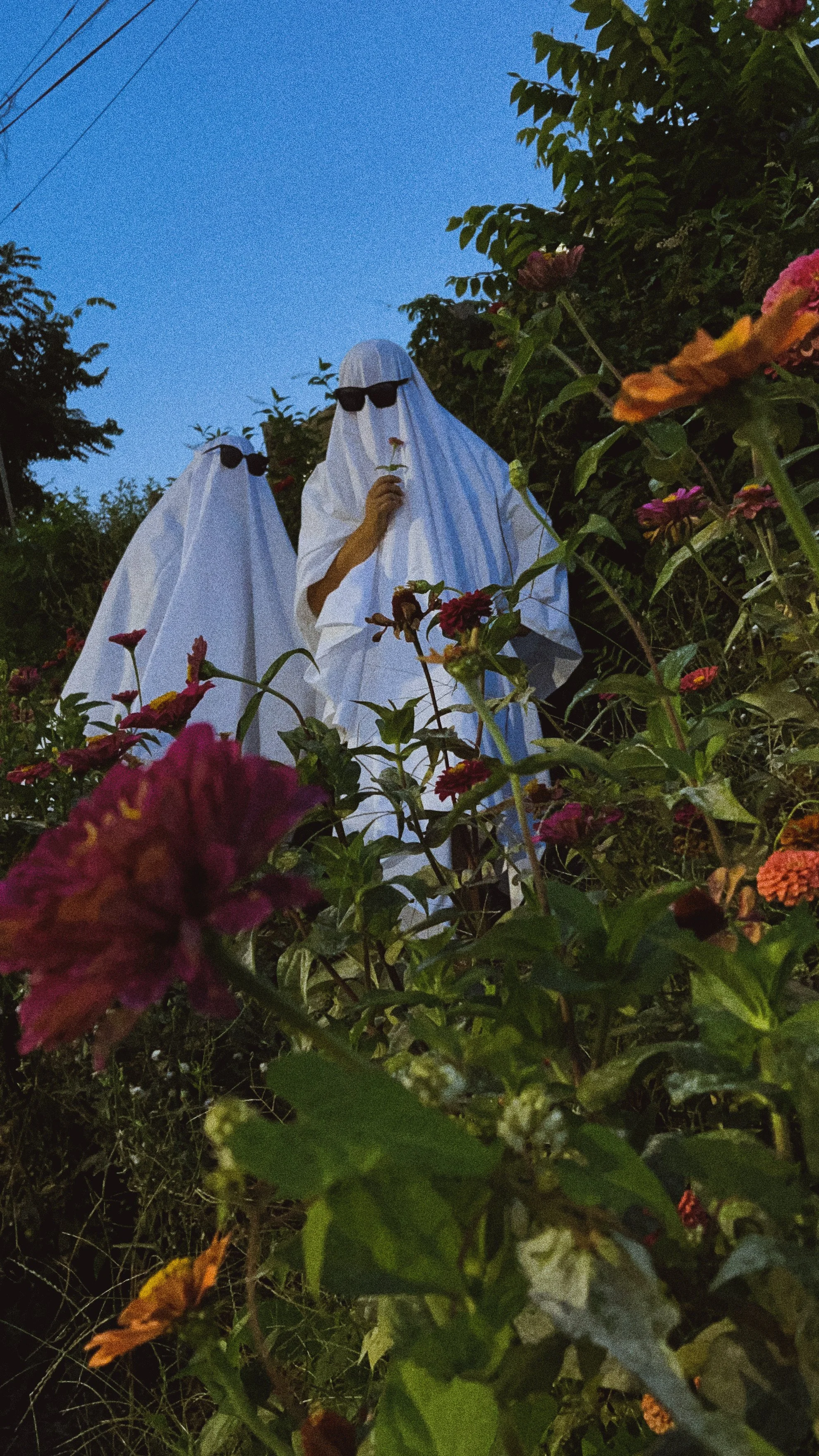 People dressed as ghosts with black sunglasses in a garden with flowers during the evening.
