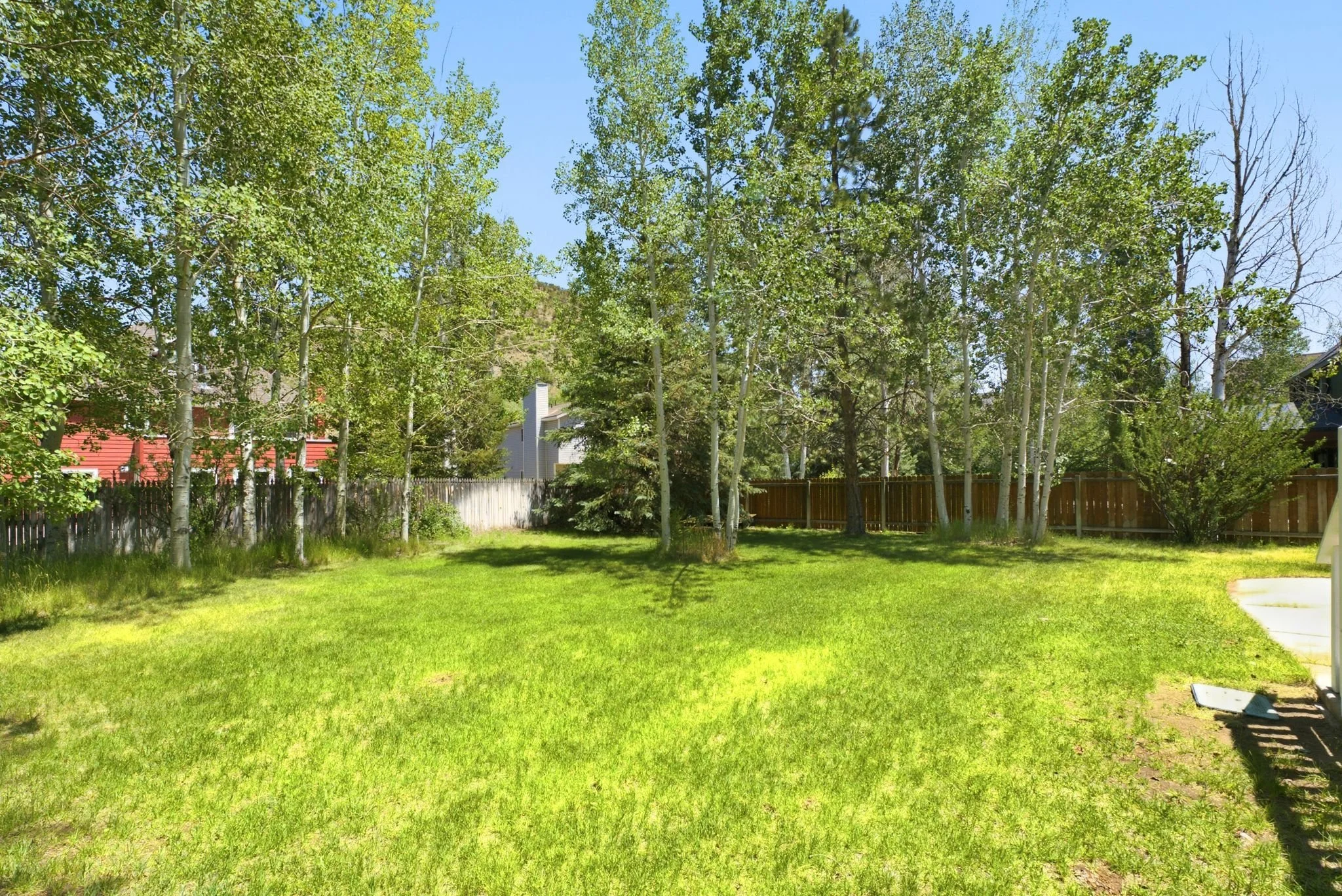 51_EHM00183.jpg