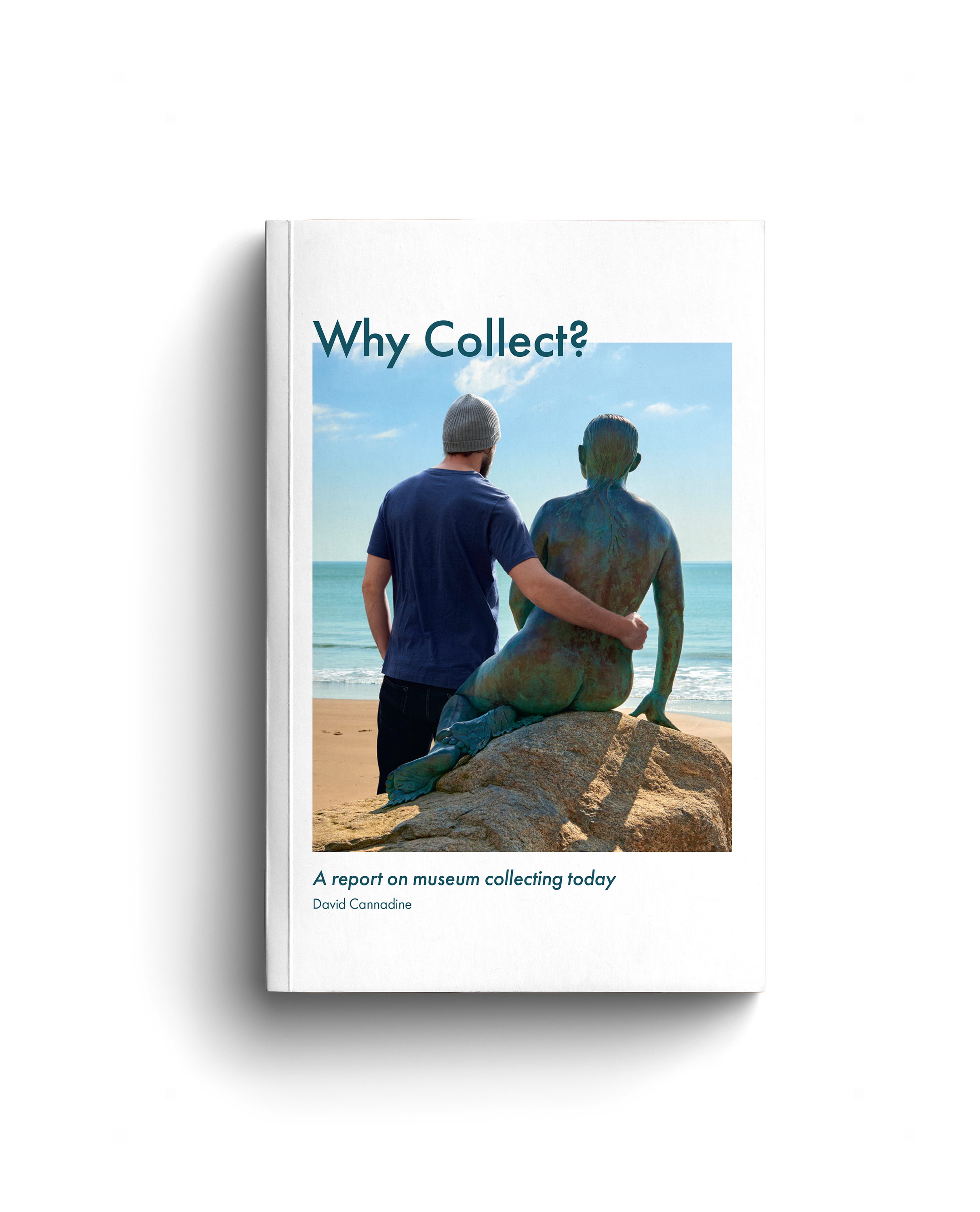 Book cover titled 'Why Collect?' showing a man in a gray beanie and a woman with her back painted, sitting on a beach with the ocean and blue sky in the background.