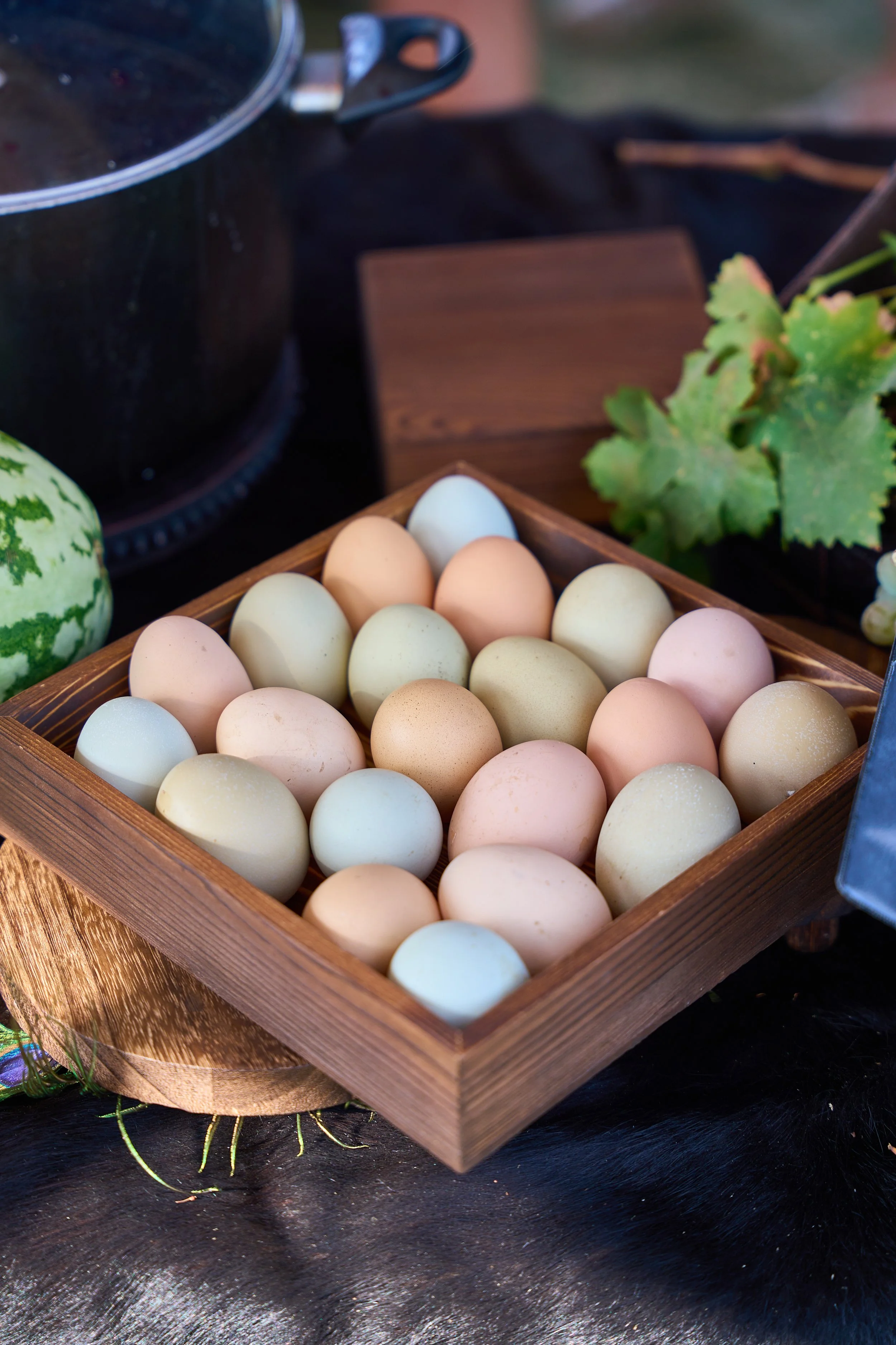 Our Golden Creek Eggs