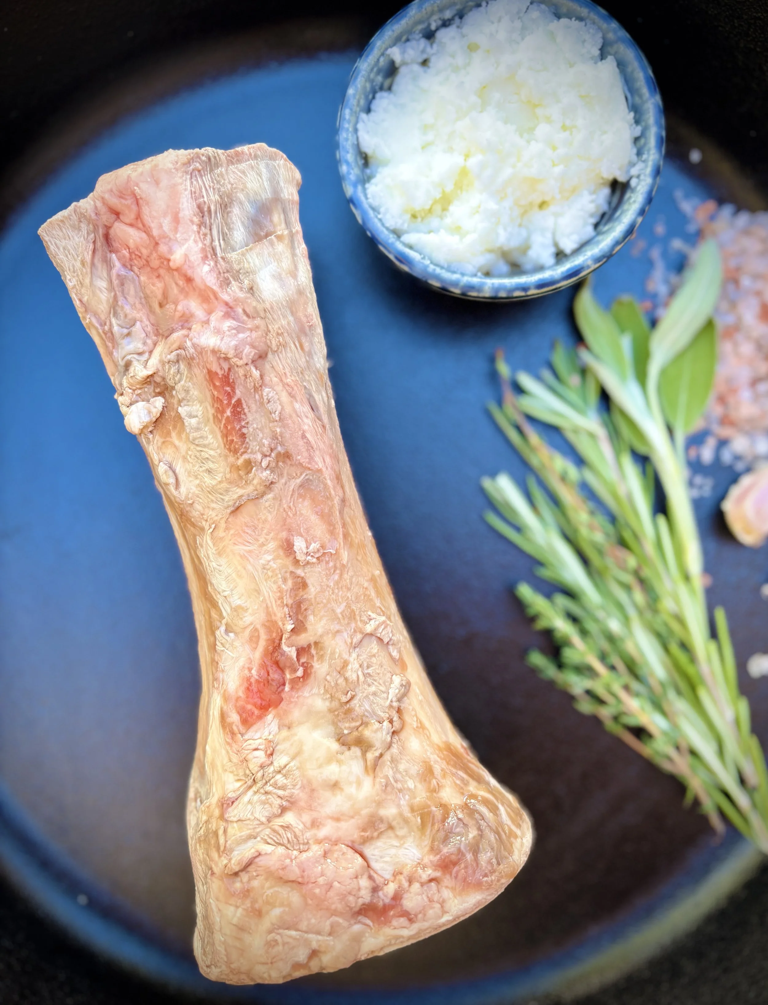 Bone Marrow.jpg