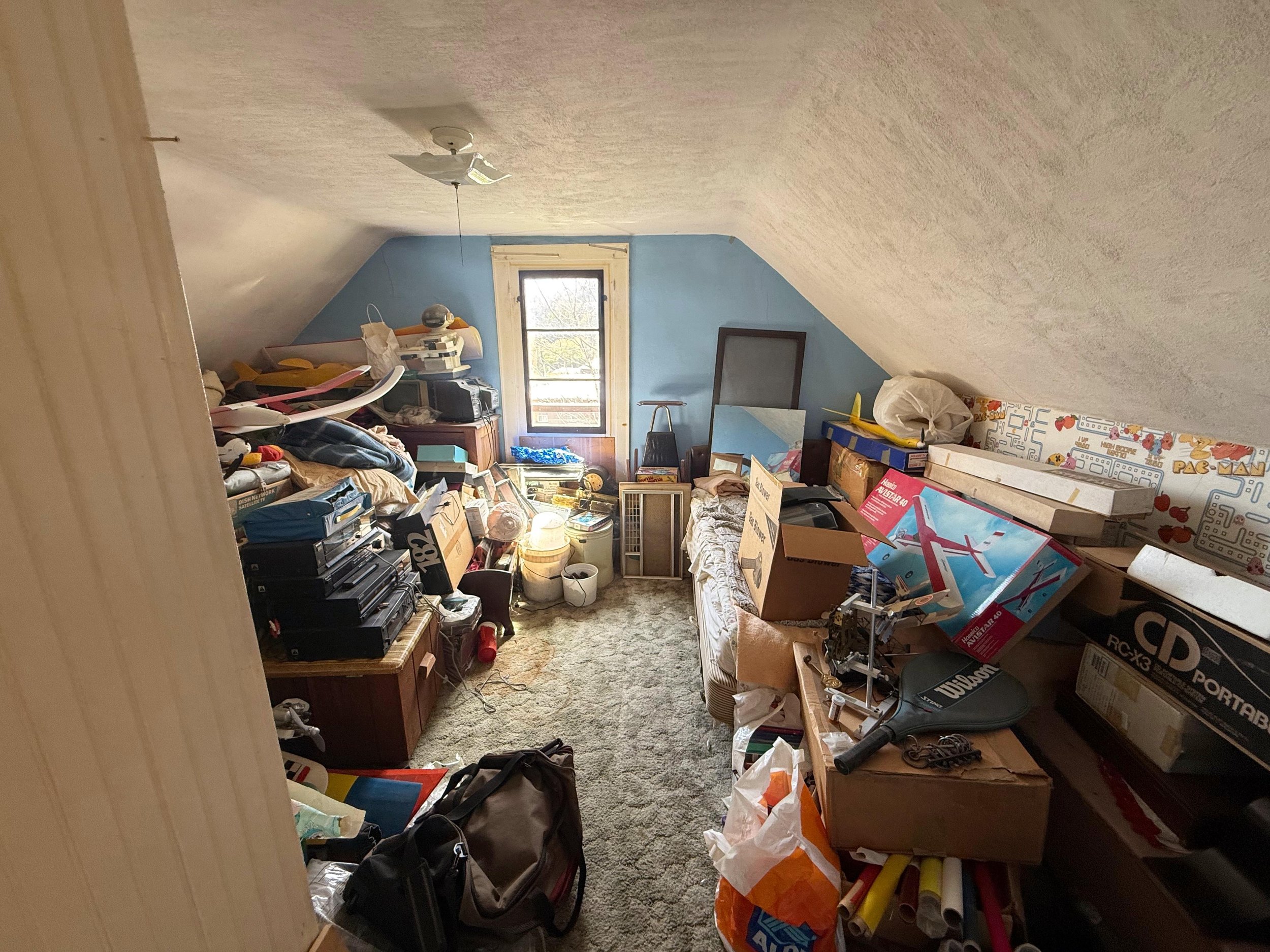 The Cleanout