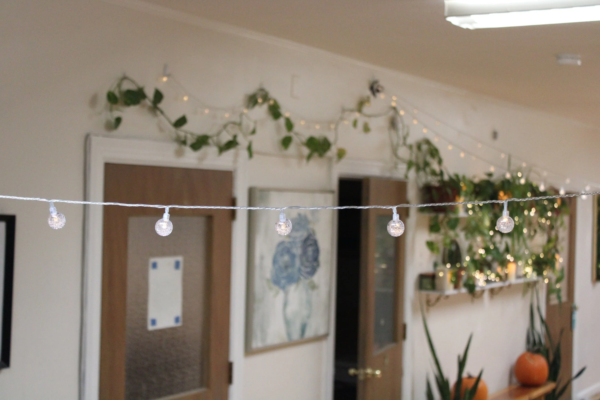 Twinkle lights and doors with plants