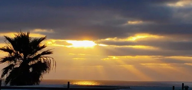 Sunset over the ocean with sun rays streaming through clouds and a silhouetted palm tree in the foreground.