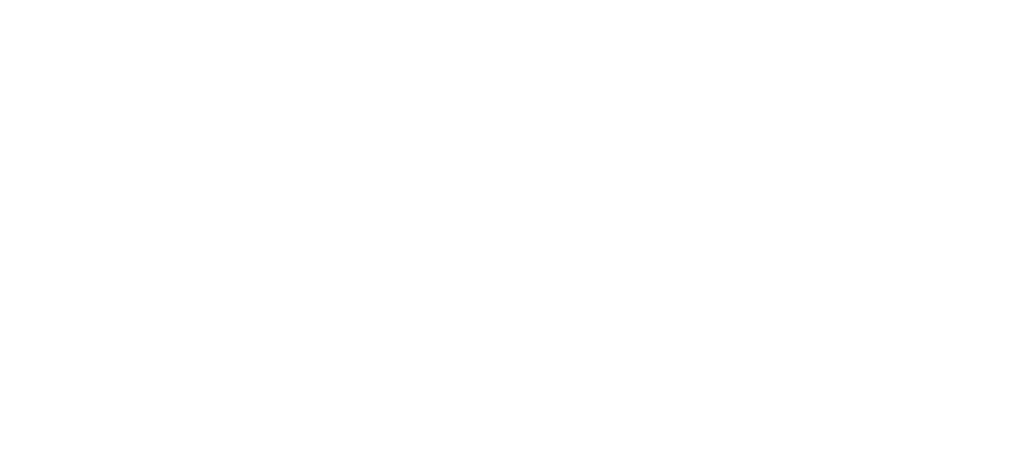 Sally Face logo