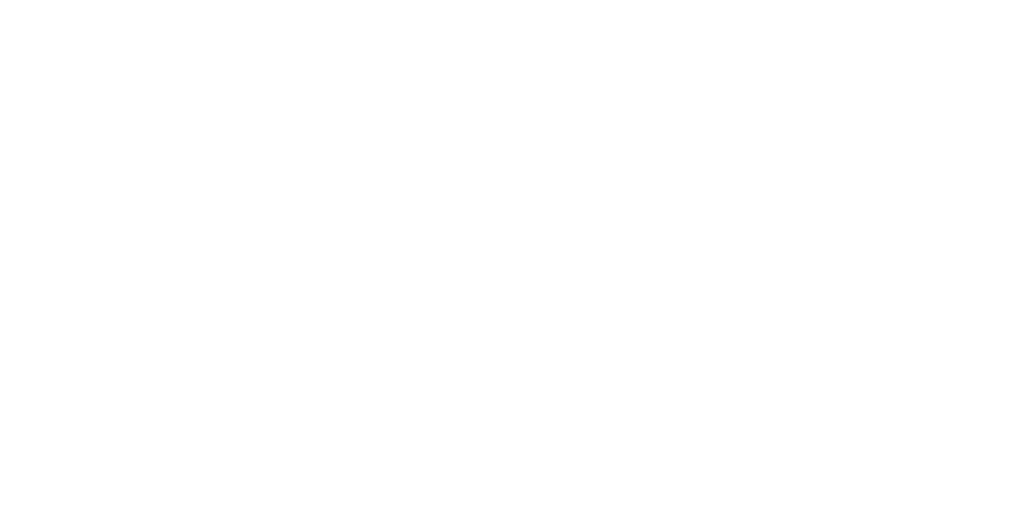 Wild Child Workshop