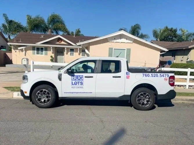 White pest control truck parked on street in front of a house with a white fence and palm trees in the background.