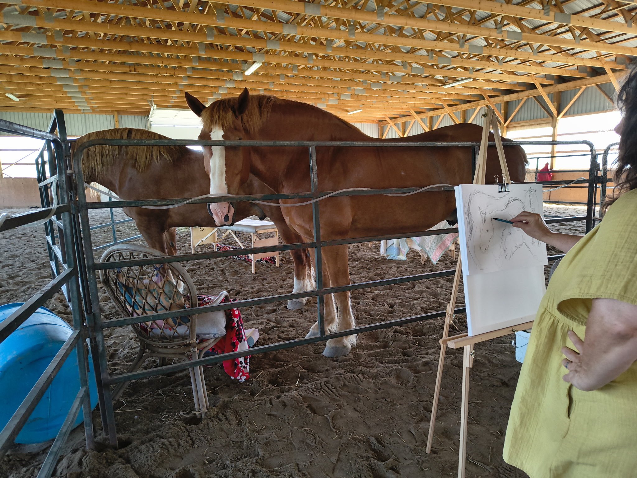 A person drawing a horse on paper with a horse standing behind a metal fence inside a barn.