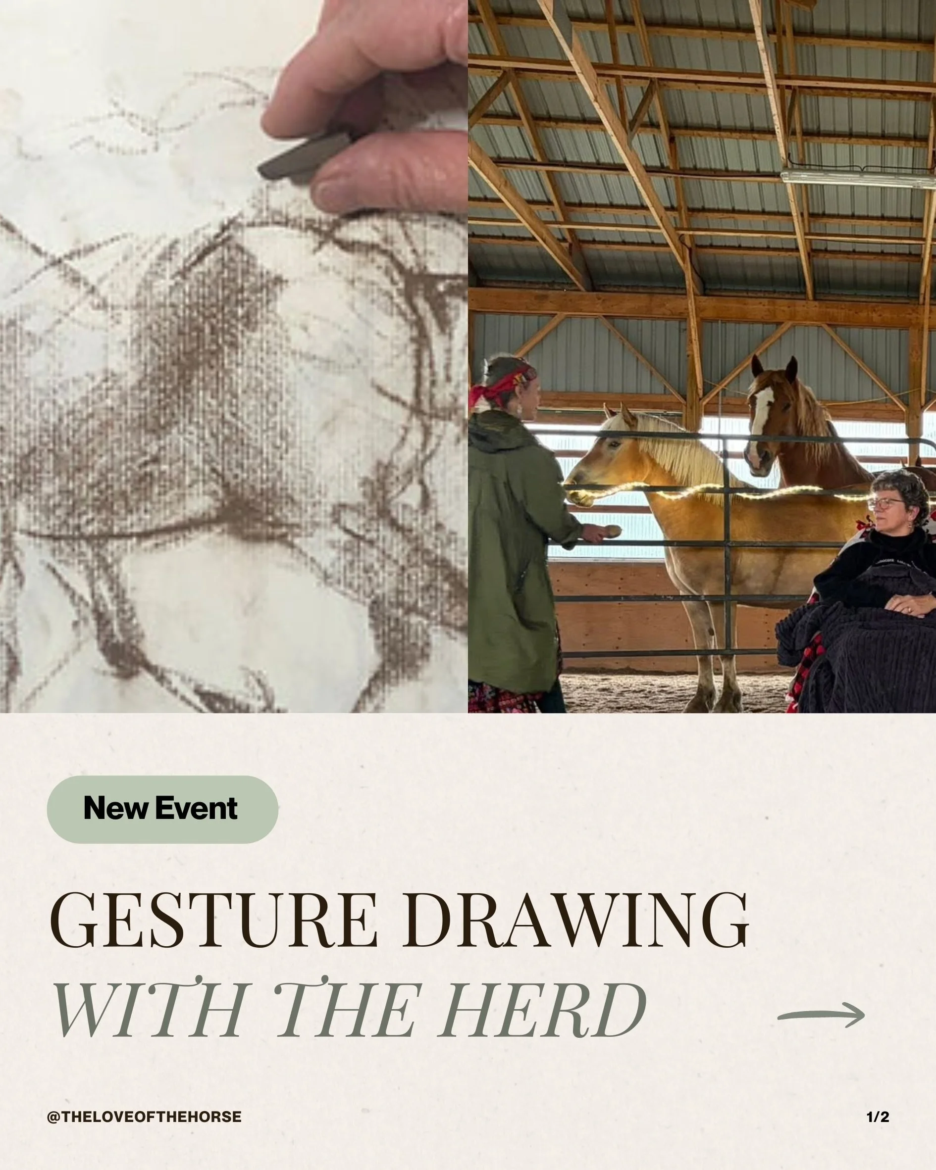 Register now for Gesture Drawing with the Herd, led by the talented @houseofhollyhawk

Date 📅 Sunday, August 16
Time ⏰ 1 PM to 4 PM
Exchange ✨ $125 

Connect with the spirit herd &amp; express yourself through the freeing art of gesture drawing, led