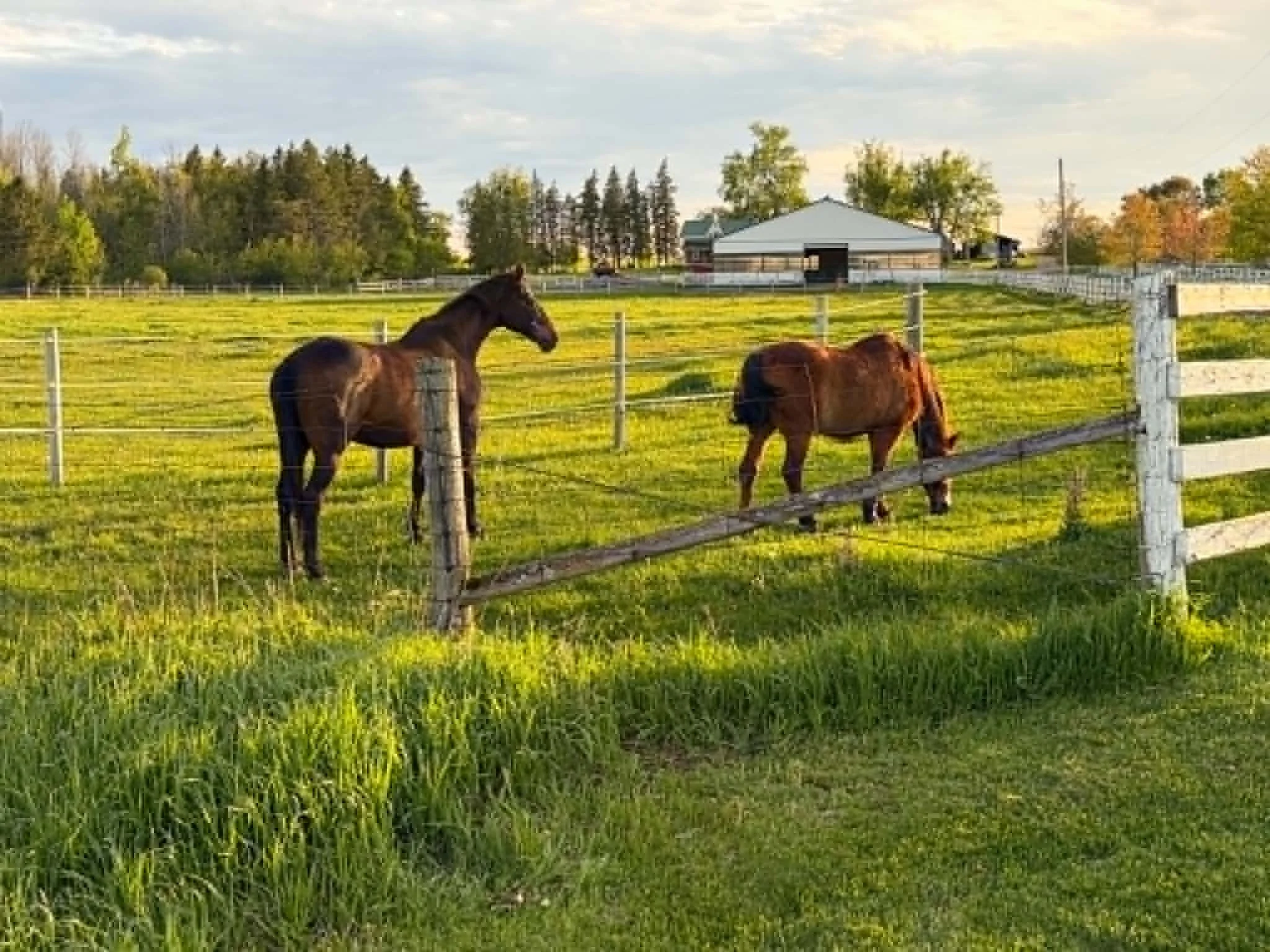 Board and Bale Farm Stay - The property