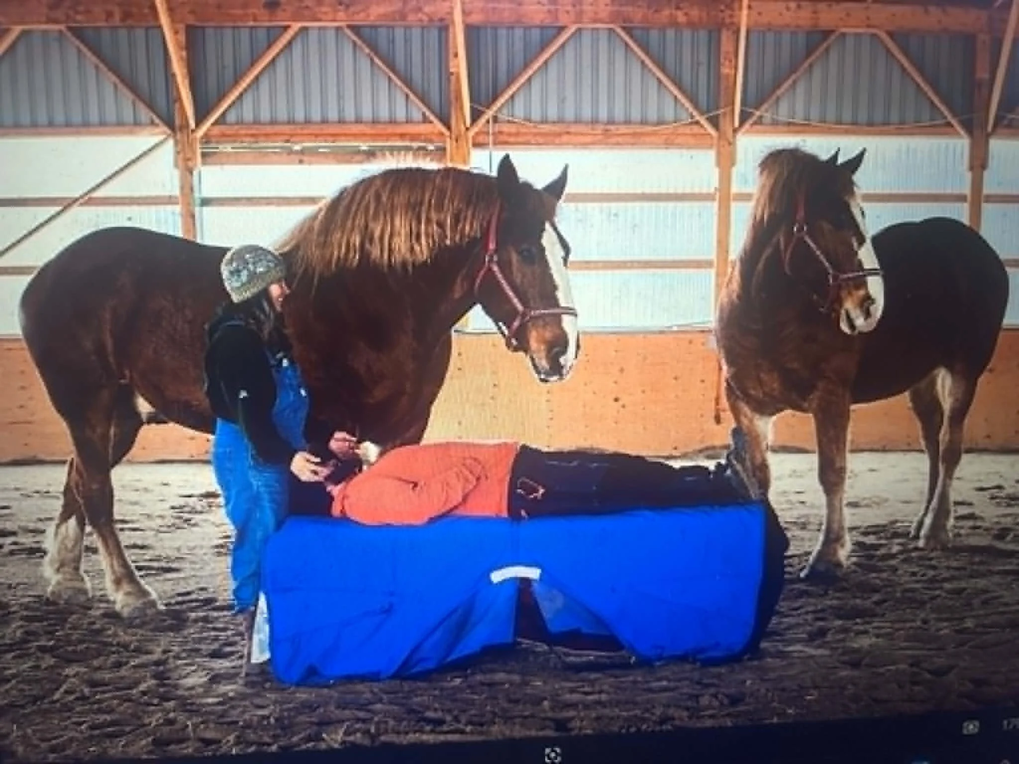 Two people are handling a brown horse inside a covered riding arena. The horse is wearing a bridle, and one person appears to be adjusting or holding the horse's leg while the other supports the horse's body. The arena has wooden beams and a metal roof, with a dirt floor.