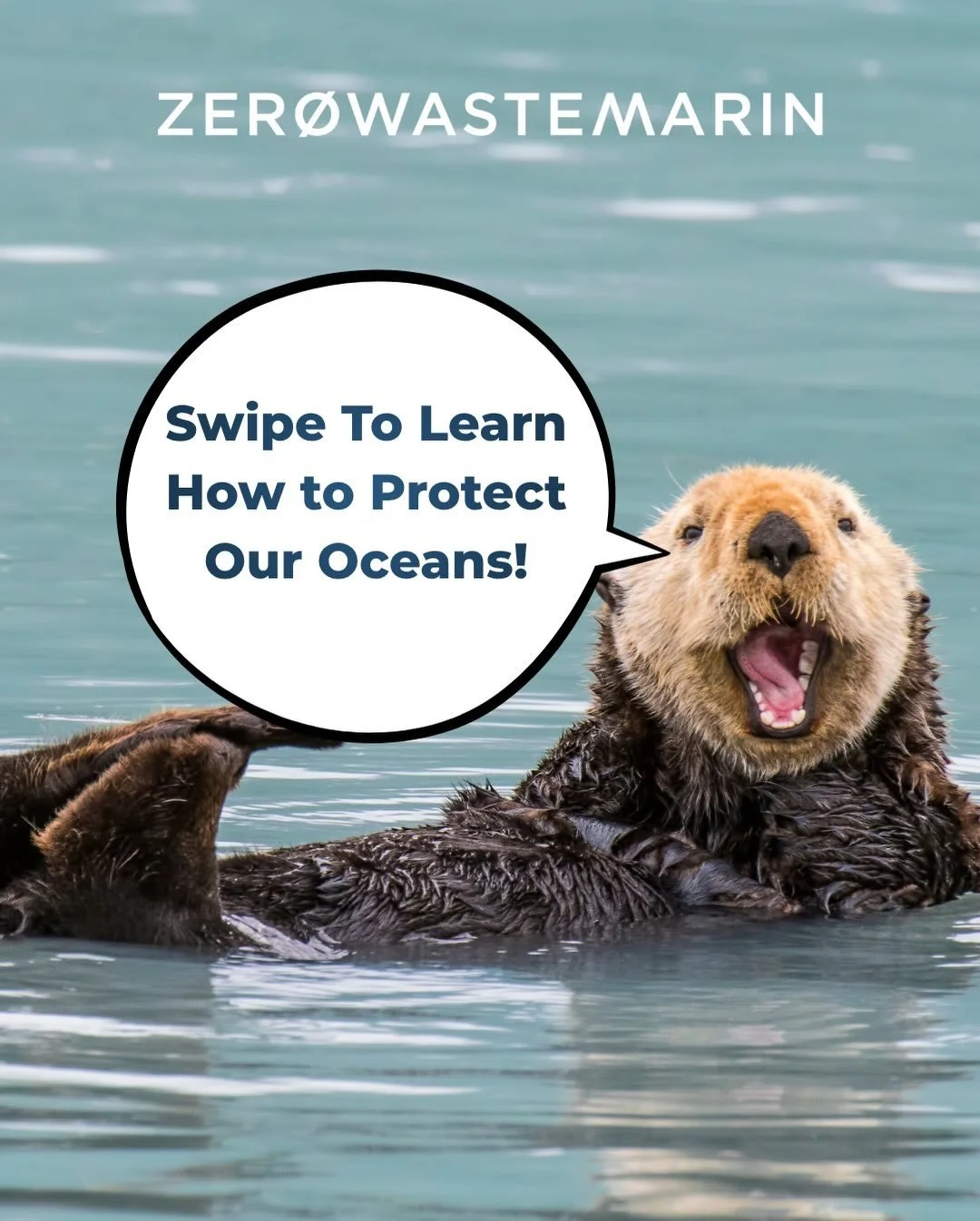 Small actions can ripple out to big waves of positive impact on our oceans 🌊 Swipe for inspiration on actions to protect our marine environments! 🦀🐙🐬🦭🪸🪼🦦🐚🐋

Repost from @zerowastemarin 

 #oceanprotection #oceananimals #zerowastemarin