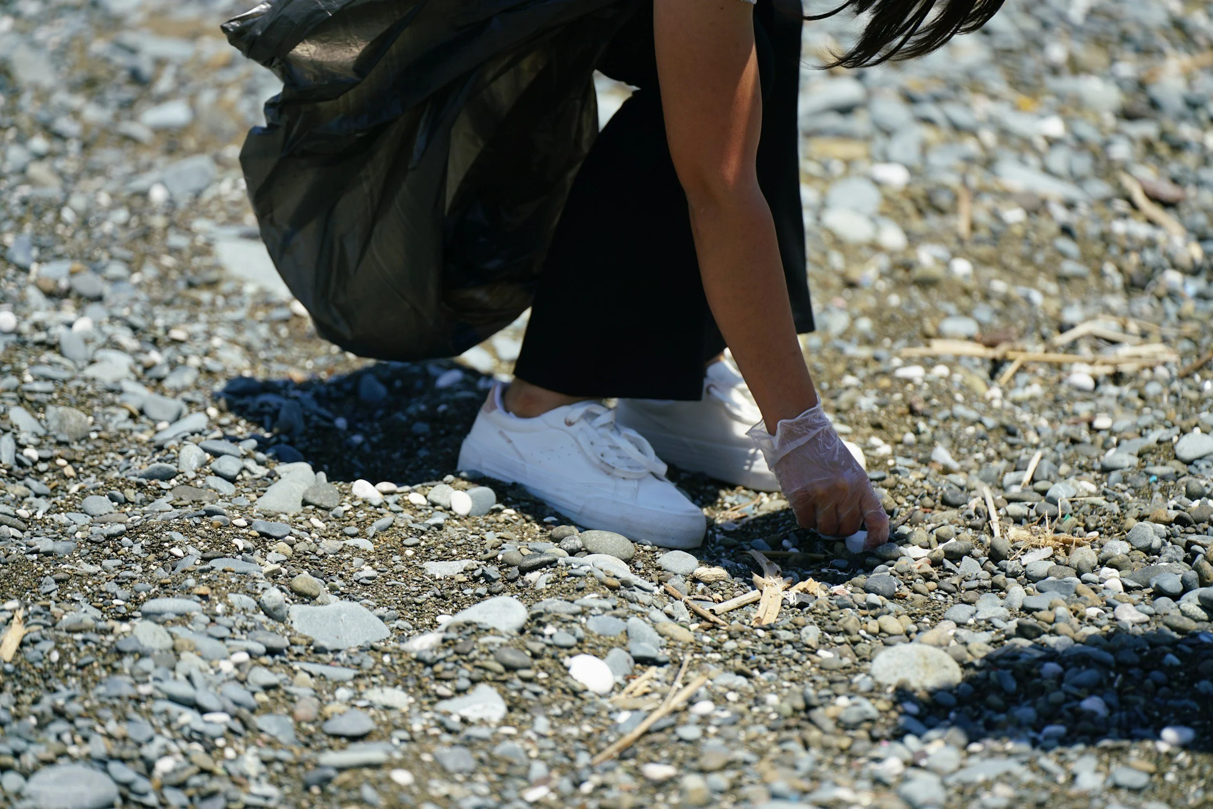 Volunteer: Shoreline Sweep