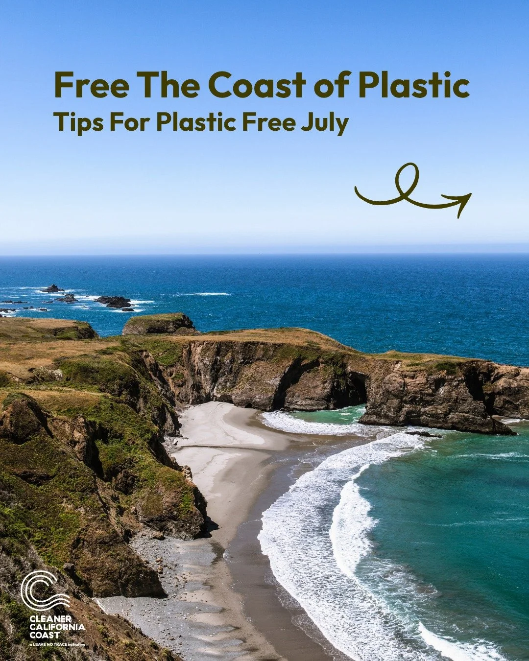 It's Plastic Free July, and we're here with some tips to keep our coastlines free of plastic! 🏖️ 

Plastics make up a significant portion of litter both on beaches and in the oceans. This waste not only makes beaches less enjoyable for humans, but h