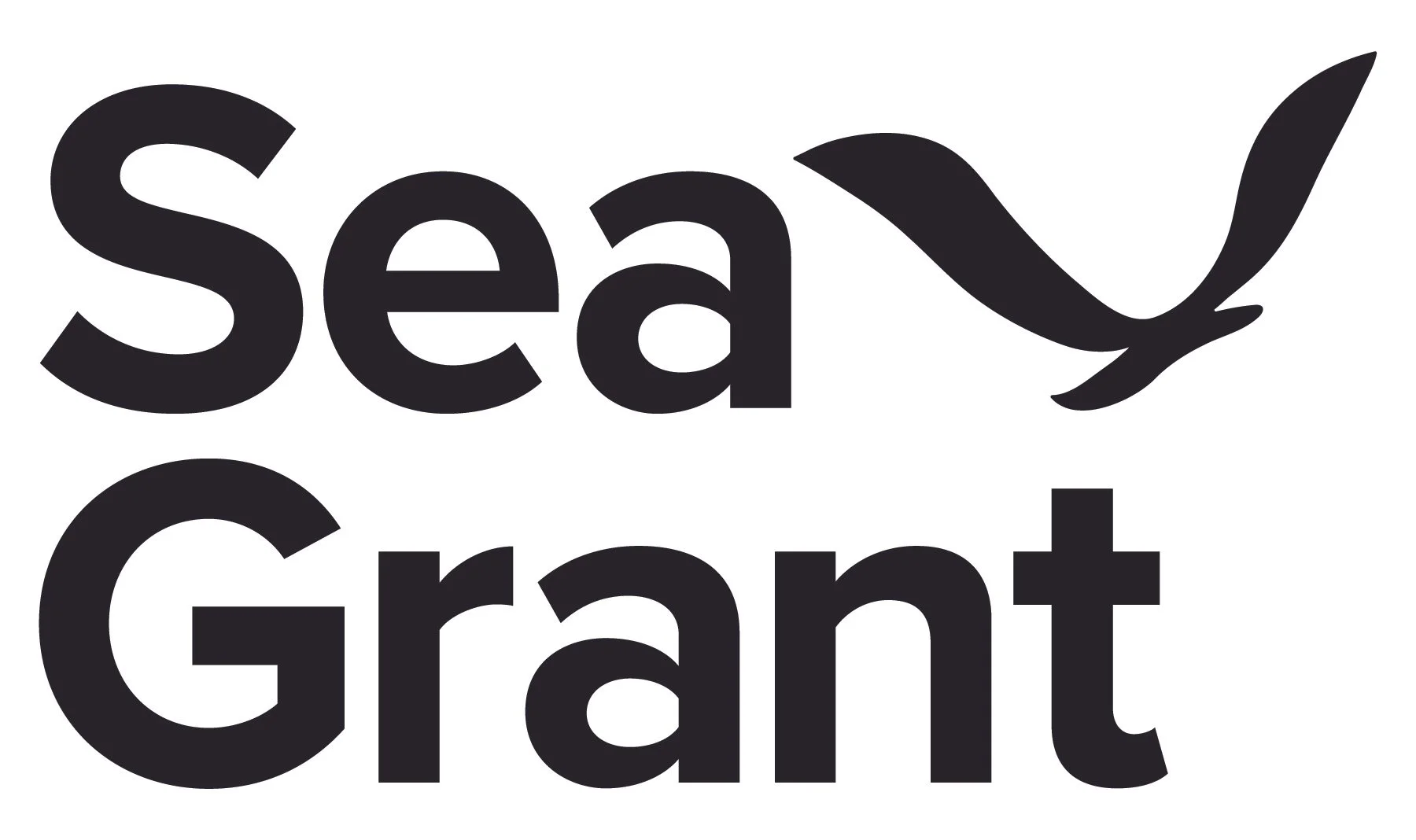 «Cleaner California Coast» recibe una subvención de la NOAA para estudiar el desperdicio de alimentos