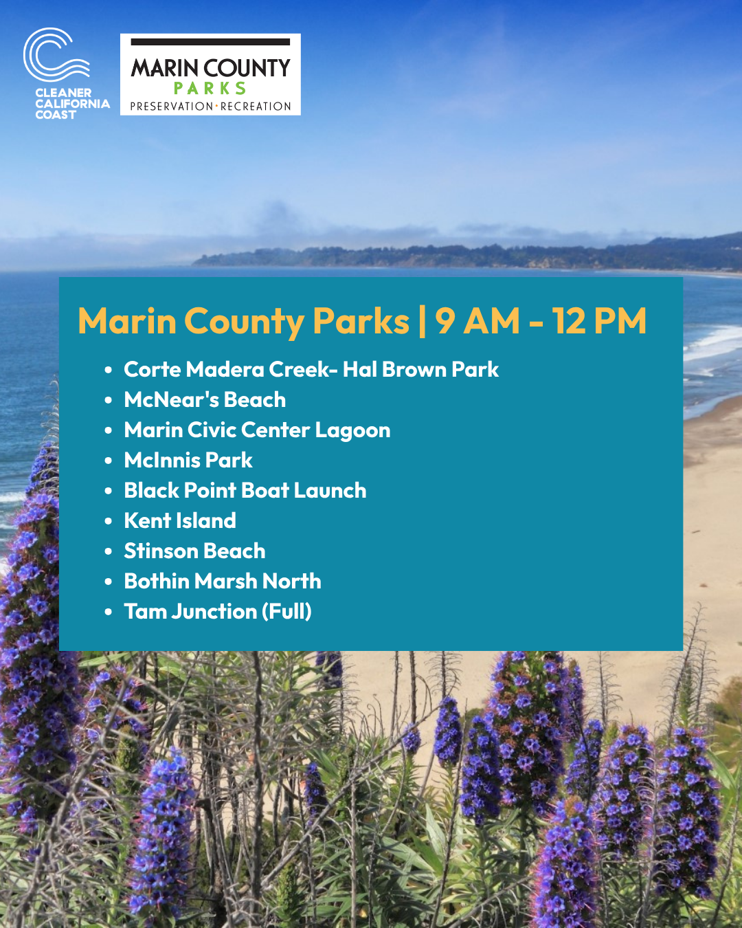 Marin County Coastal Cleanup