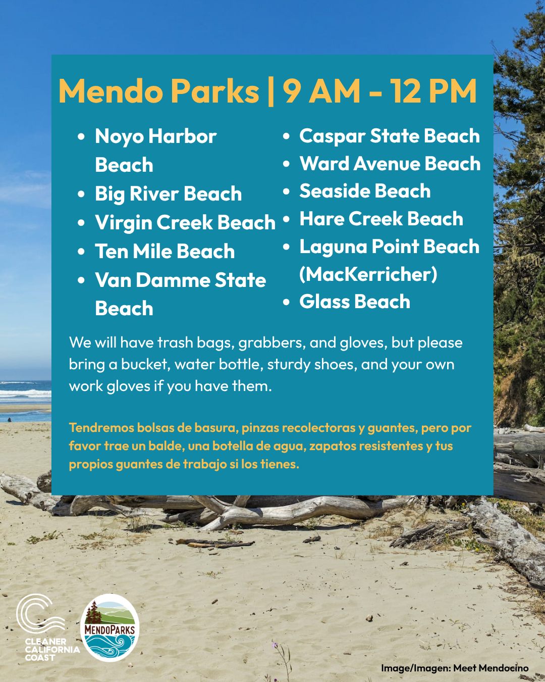 Mendocino Coastal Cleanup Day 