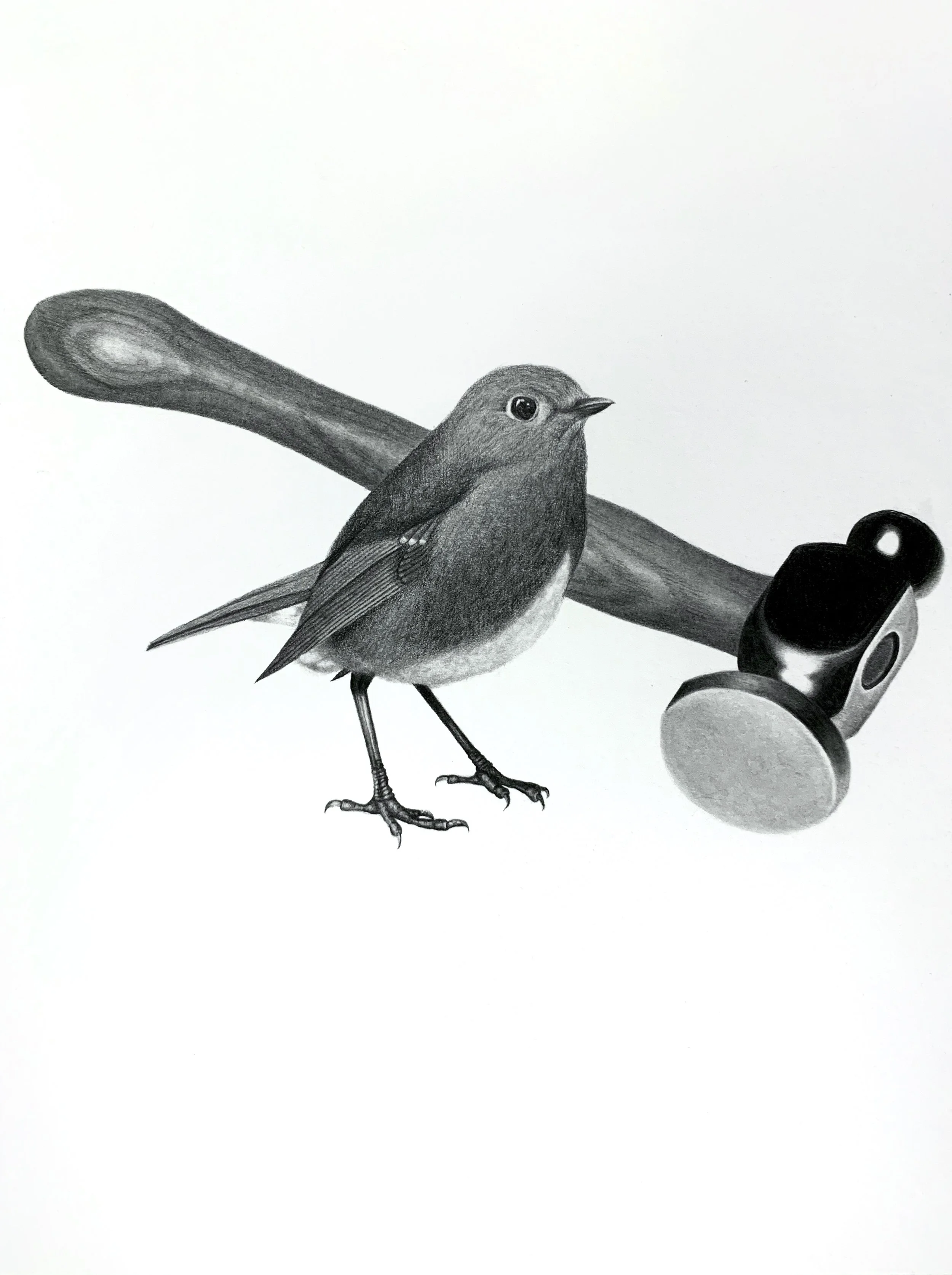 A pencil drawing of a small bird perched on a wooden branch, with a film camera lens in the bottom right corner.