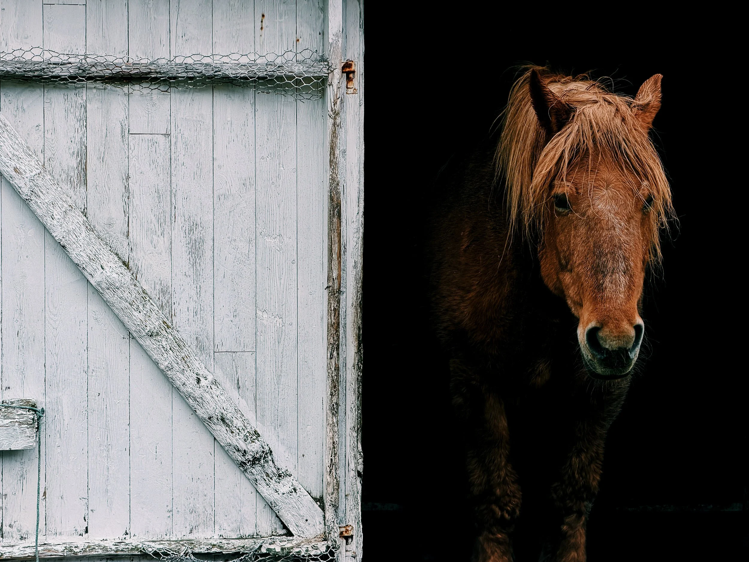 The Stable