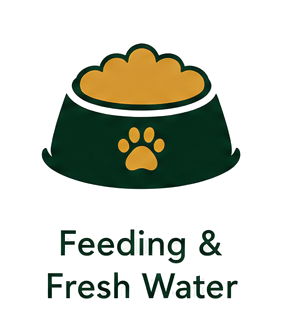 Dog food bowl with brown kibble and water, decorated with a paw print design