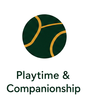 Logo featuring a dark green tennis ball with gold lines. Text below reads 'Playtime & Companionship' in green.