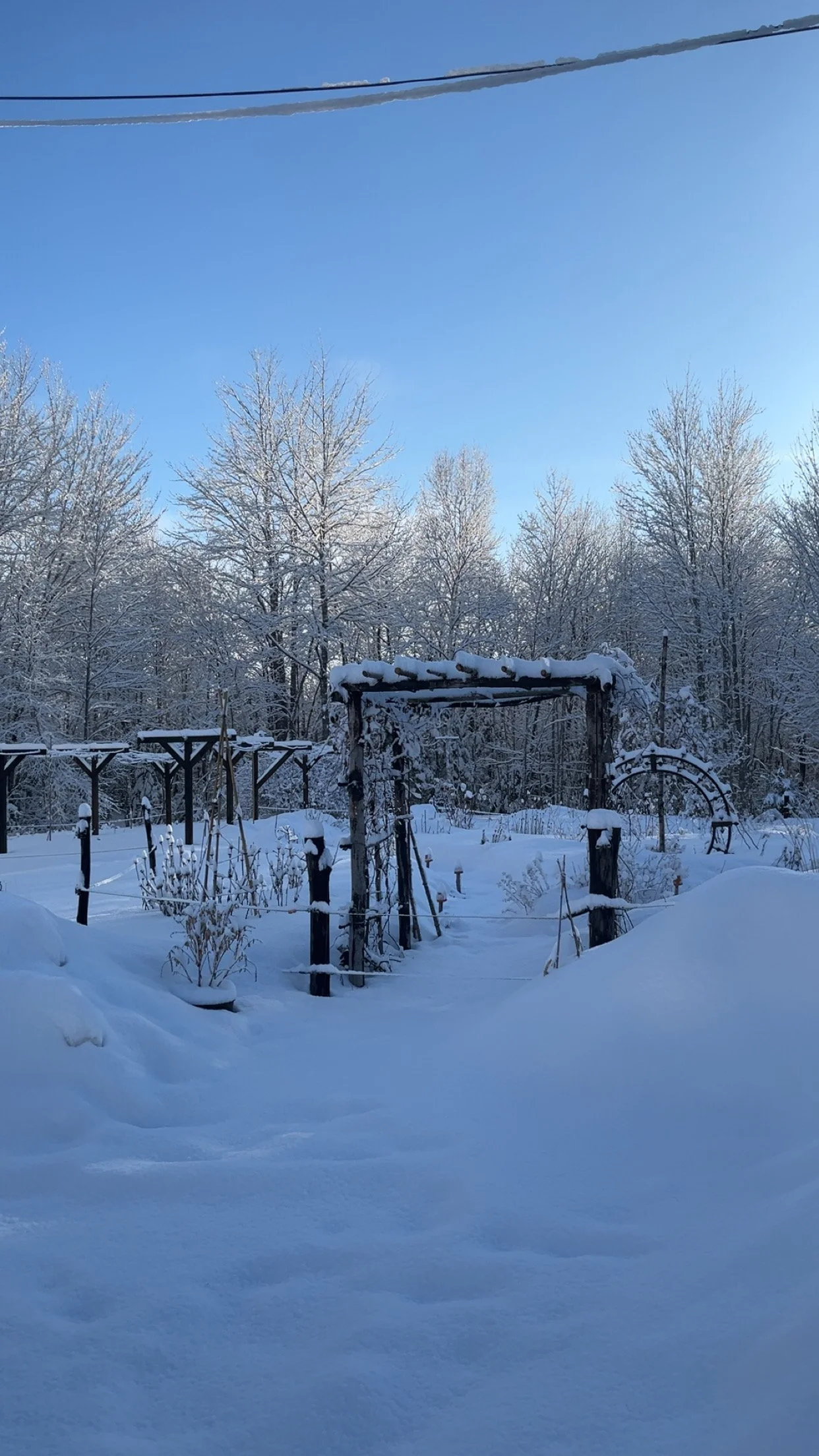 Snow-covered garden with wooden structures and leafless trees under a clear blue sky.